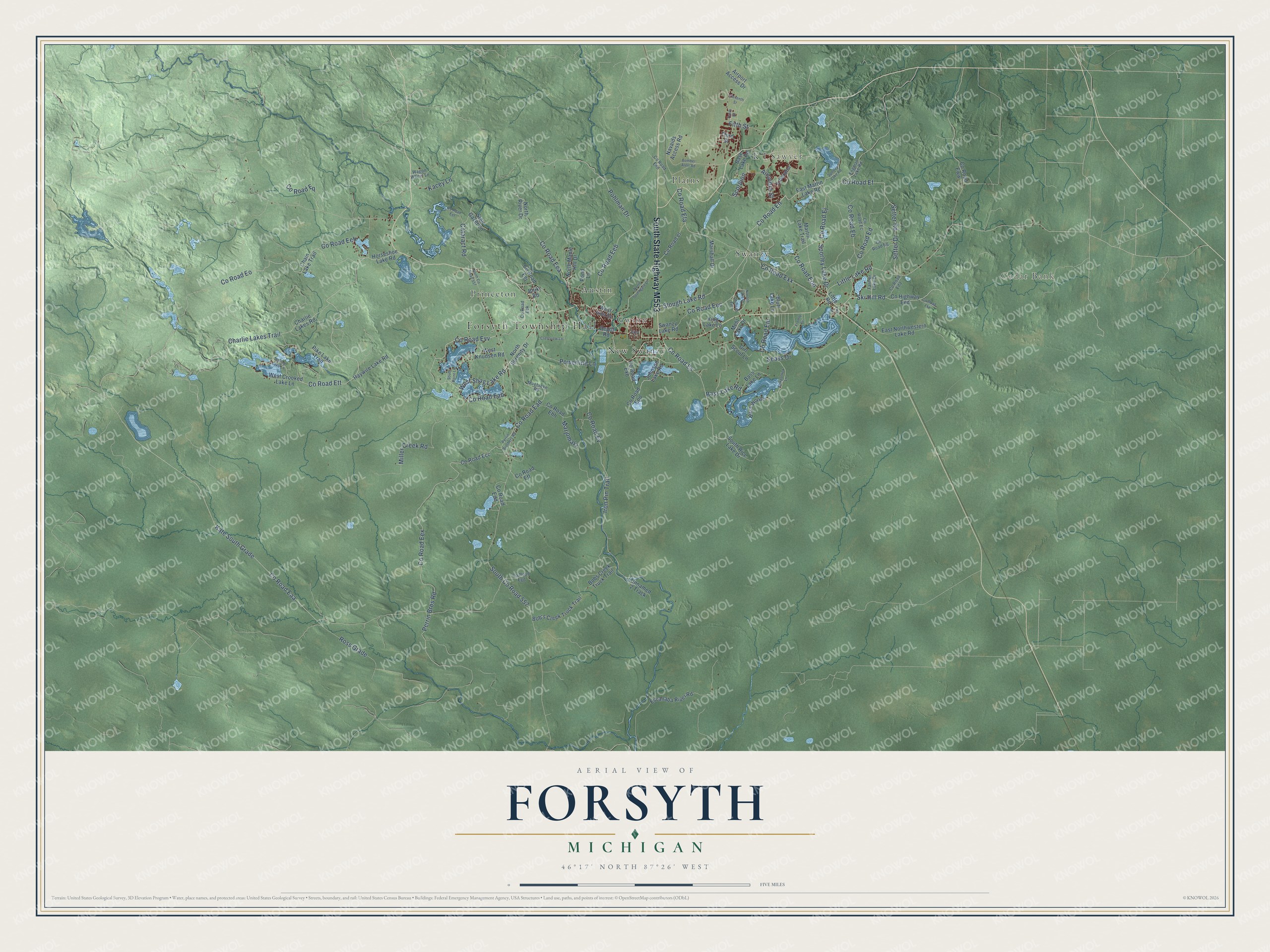 Full map of Forsyth, Michigan, with red buildings, printed street names and the land around them