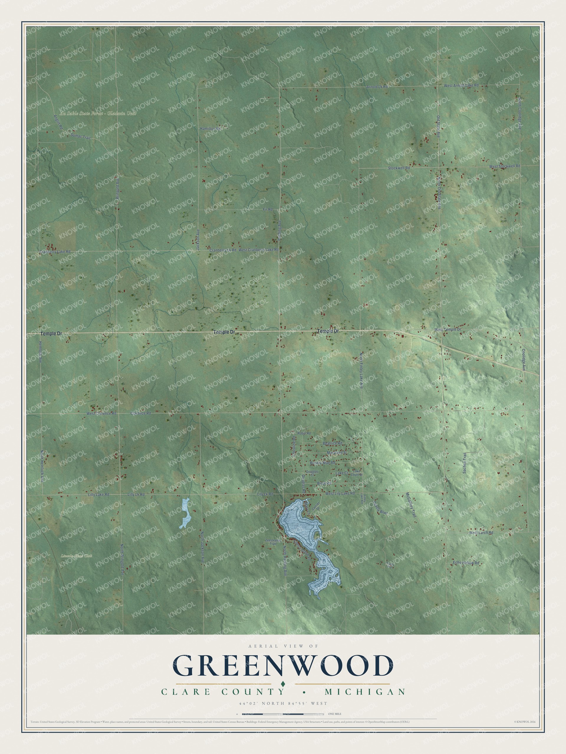 Full map of Greenwood, Michigan, with red buildings, printed street names and the land around them