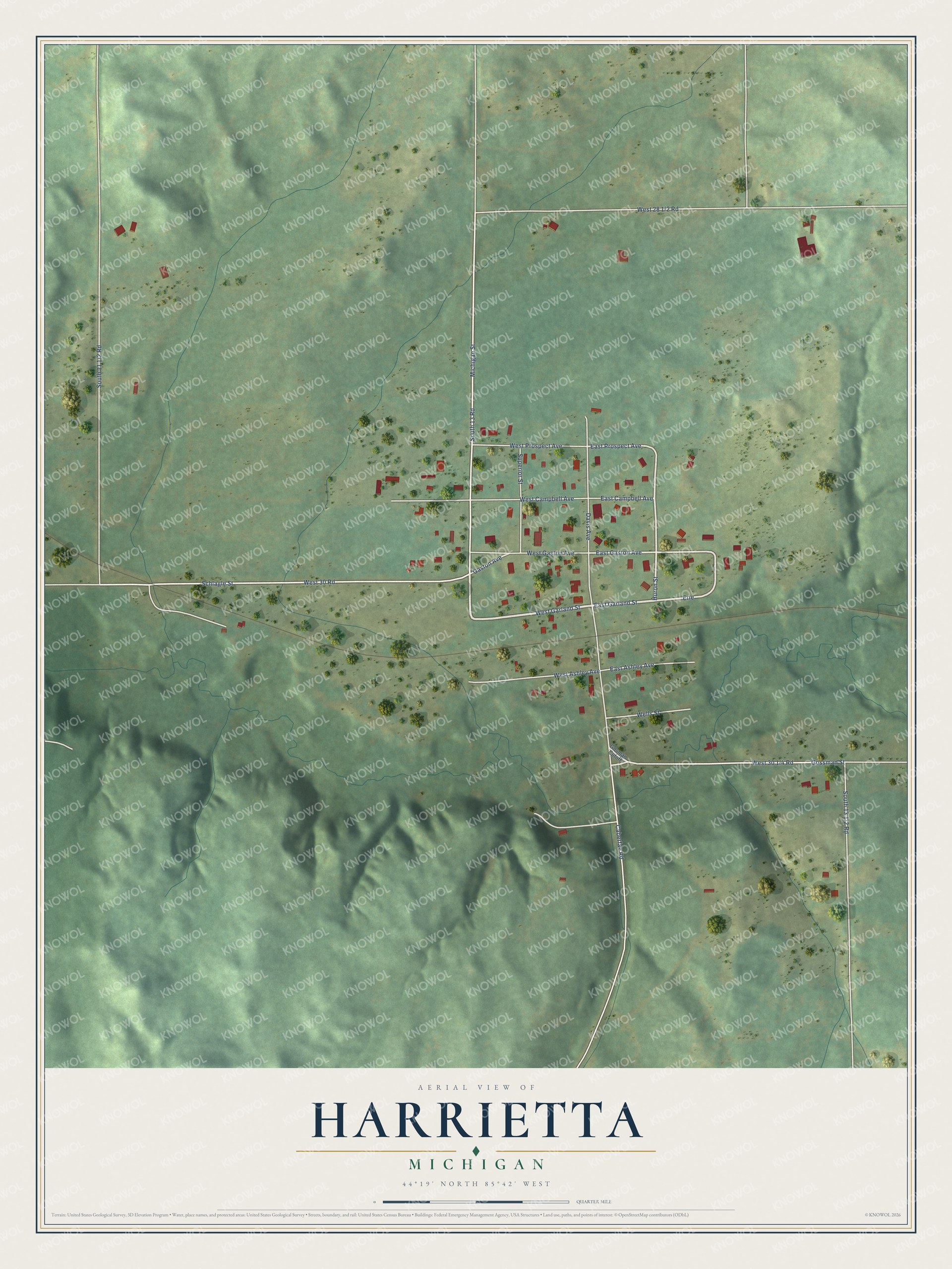 Full map of Harrietta, Michigan, with red buildings, printed street names and the land around them