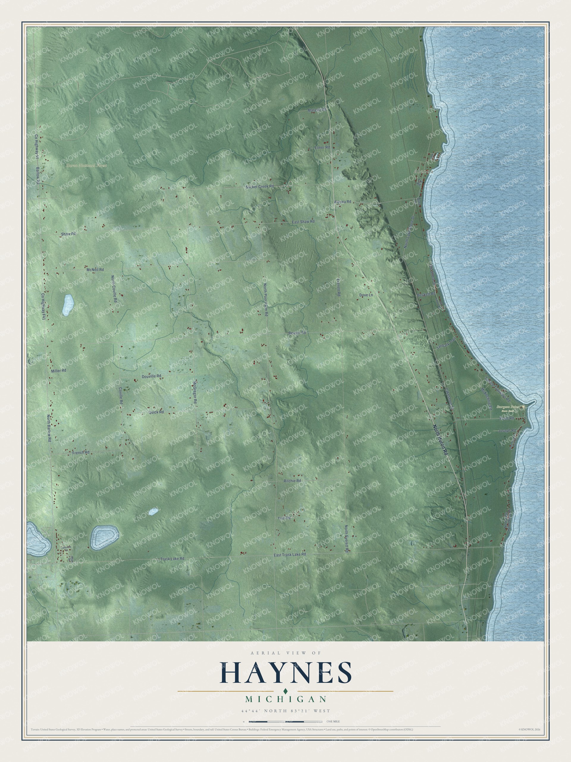 Full map of Haynes, Michigan, with red buildings, printed street names and the land around them