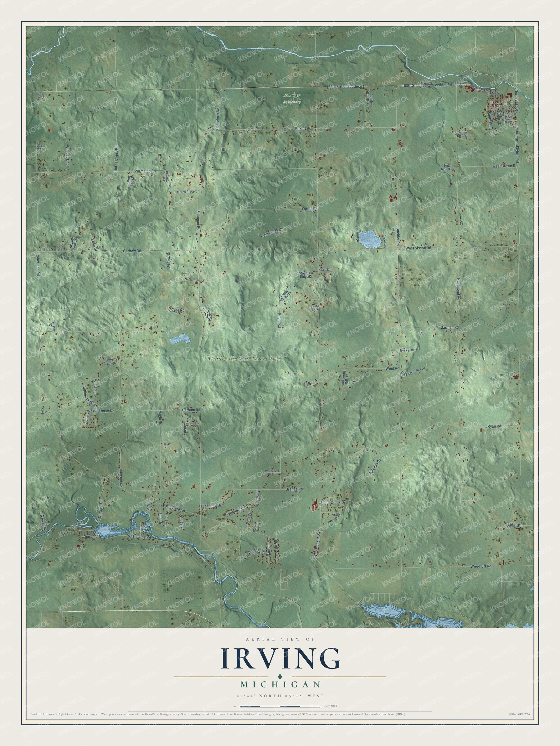 Full map of Irving, Michigan, with red buildings, printed street names and the land around them