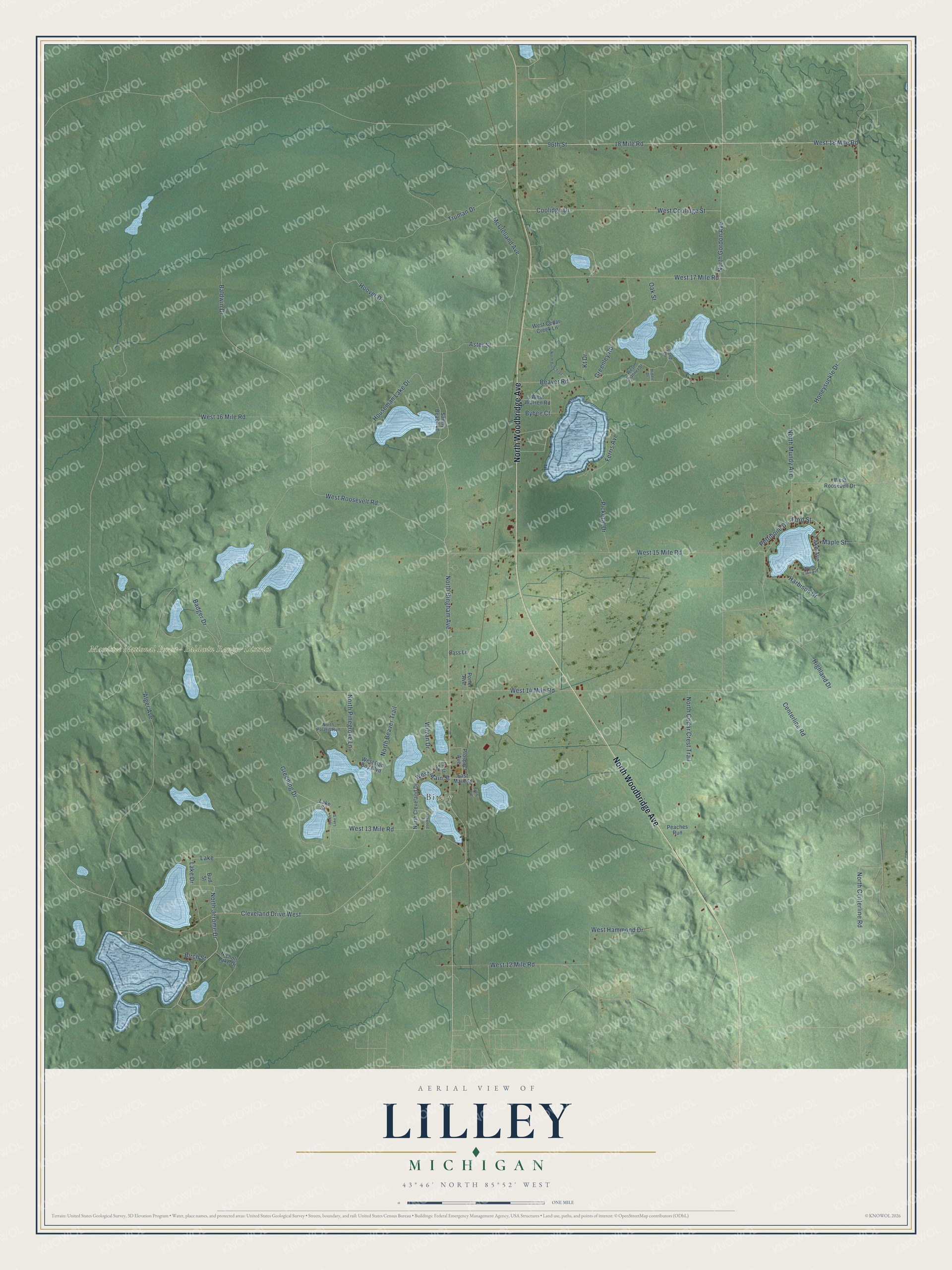 Full map of Lilley, Michigan, with red buildings, printed street names and the land around them