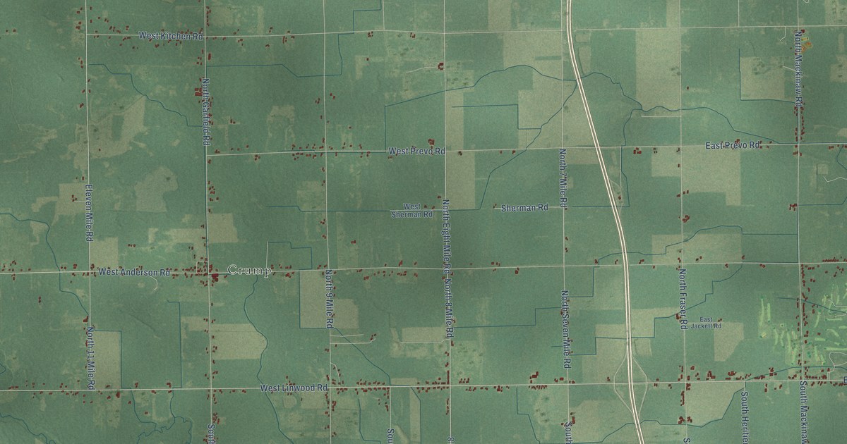 Close-up of streets and buildings in Linwood, Michigan