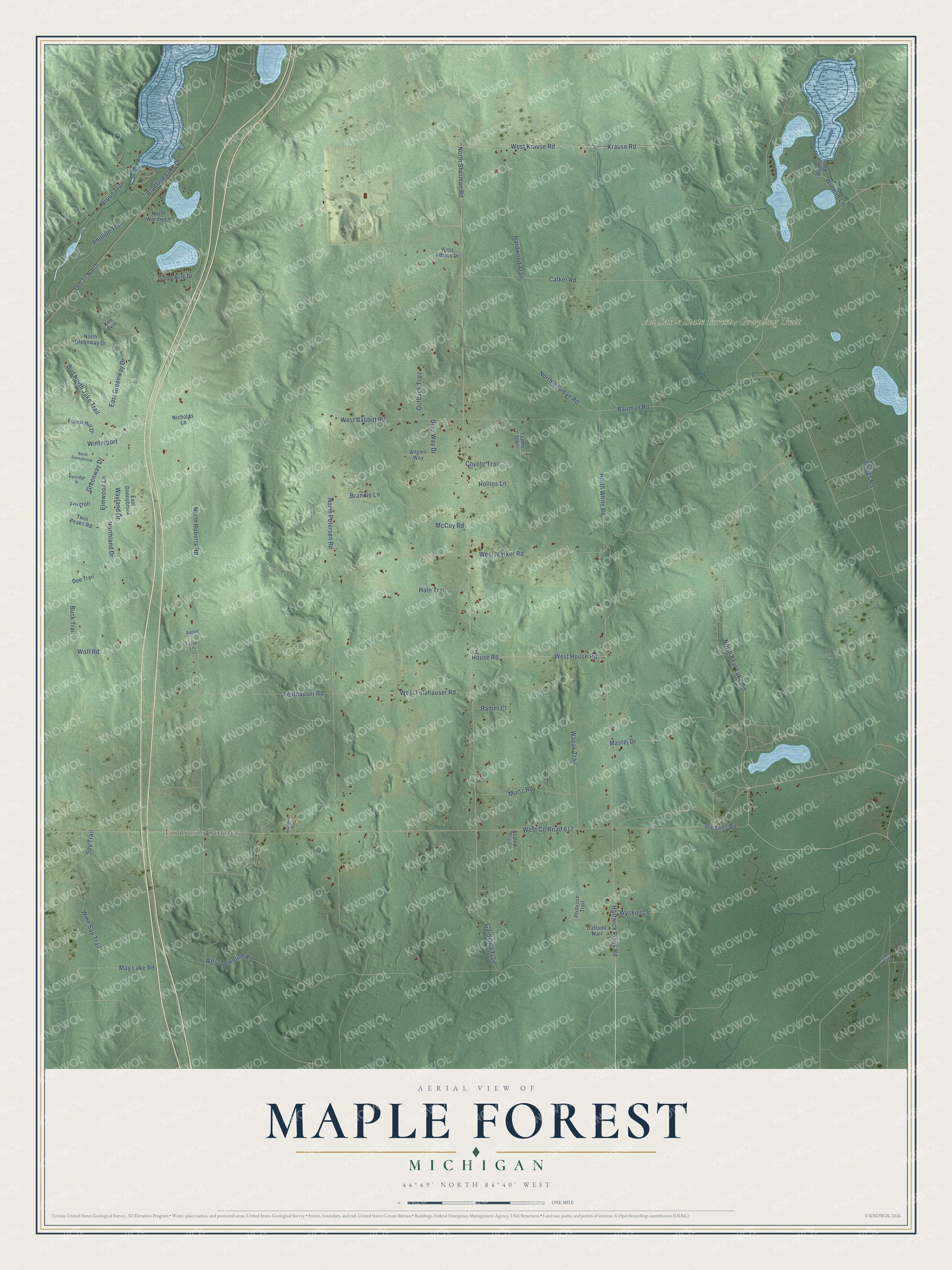 Full map of Maple Forest, Michigan, with red buildings, printed street names and the land around them