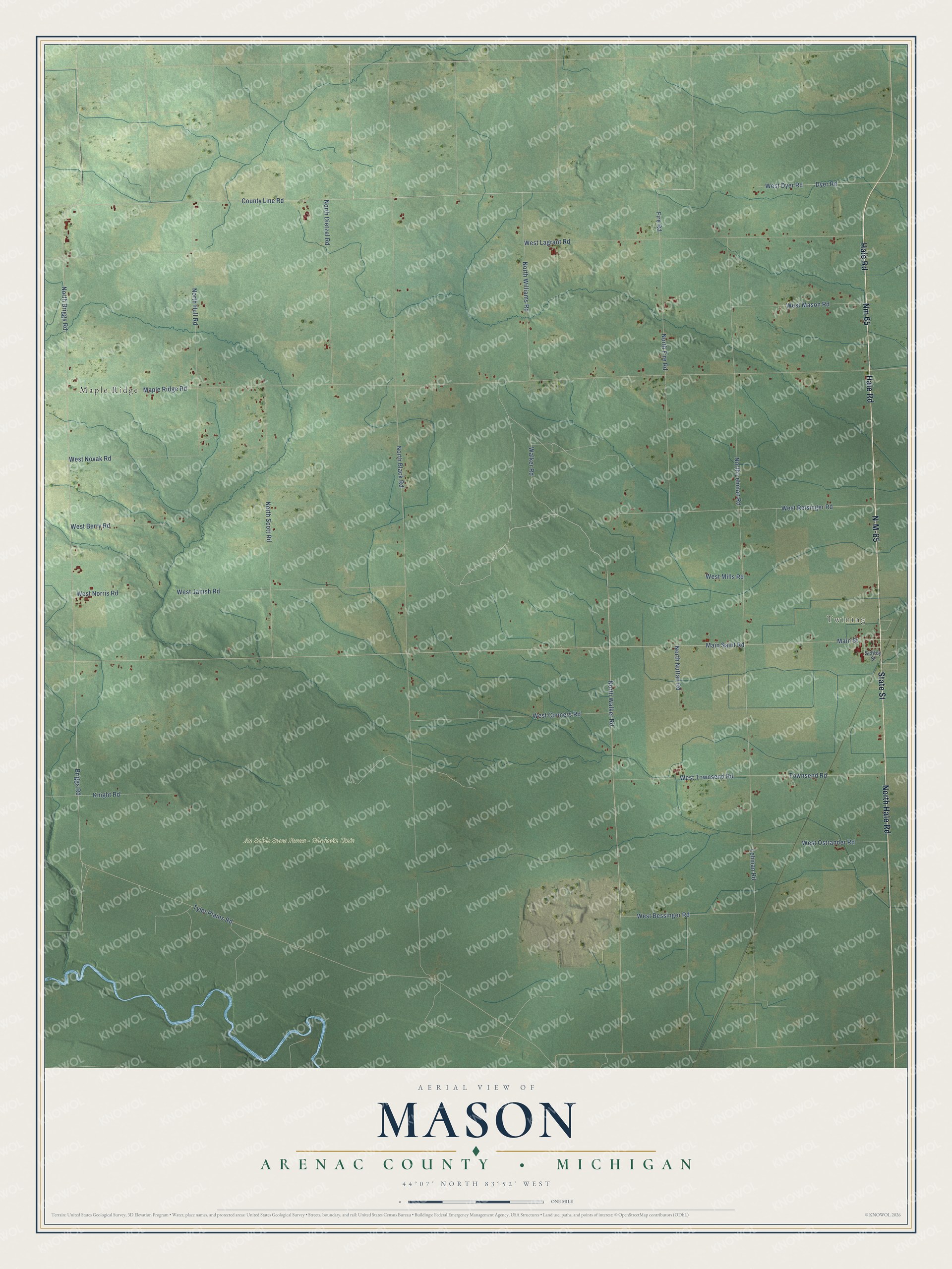 Full map of Mason, Michigan, with red buildings, printed street names and the land around them