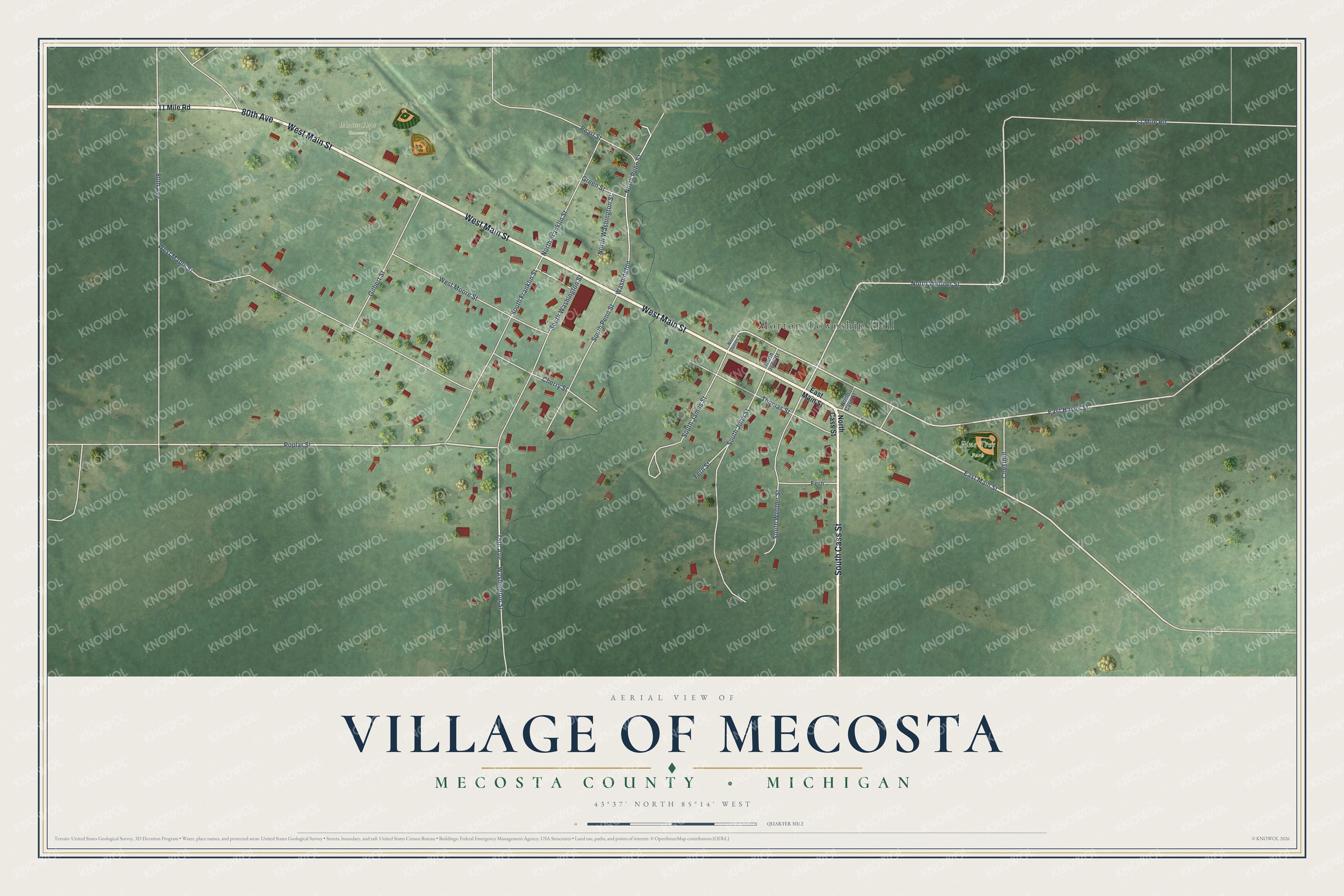 Full map of Mecosta, Michigan, with red buildings, printed street names and the land around them