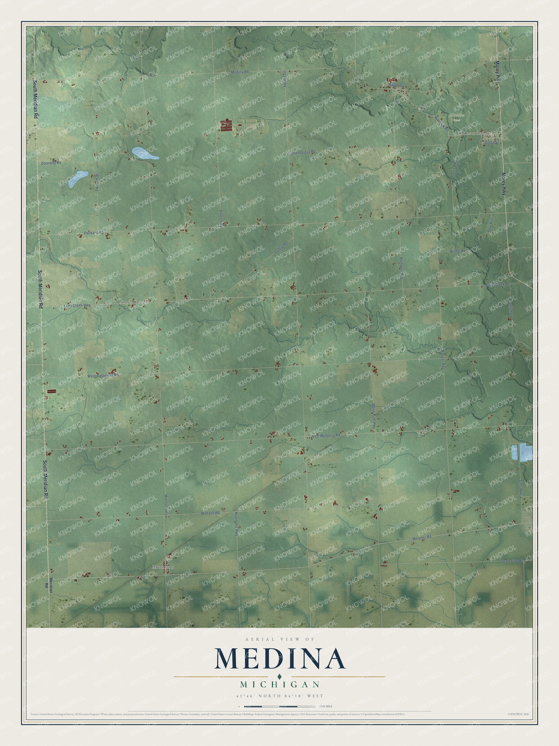Full map of Medina, Michigan, with red buildings, printed street names and the land around them
