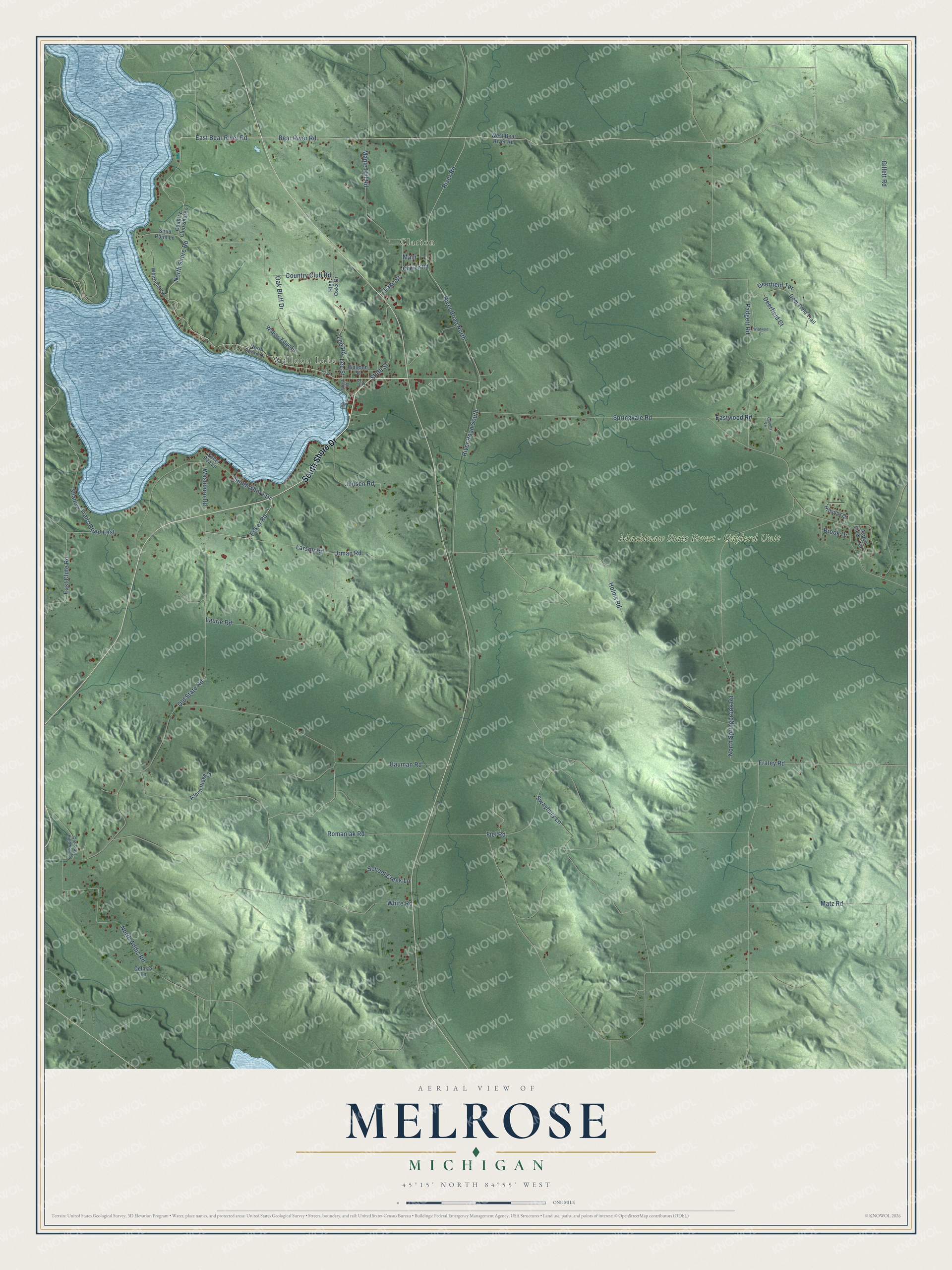 Full map of Melrose, Michigan, with red buildings, printed street names and the land around them