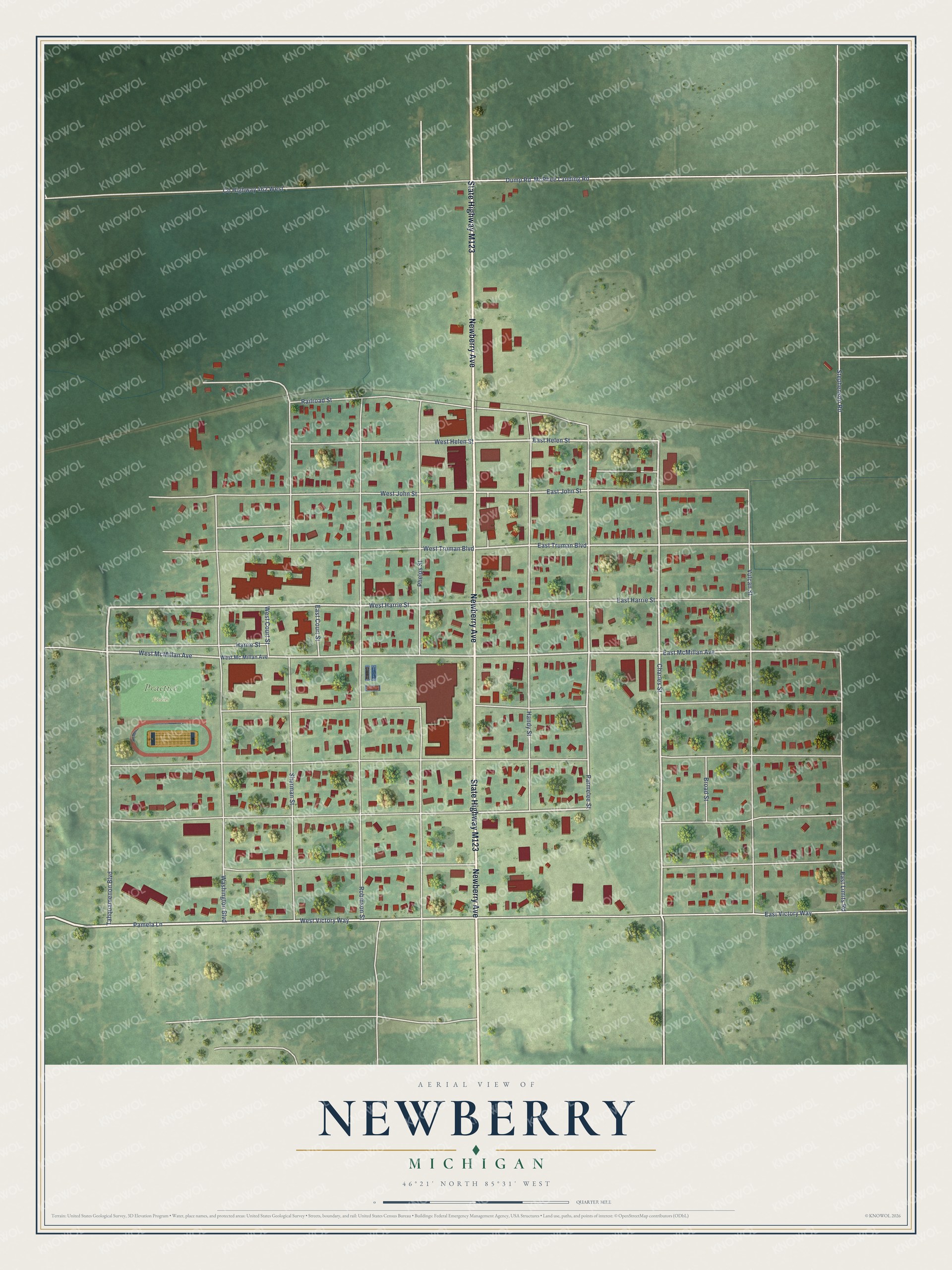 Full map of Newberry, Michigan, with red buildings, printed street names and the land around them