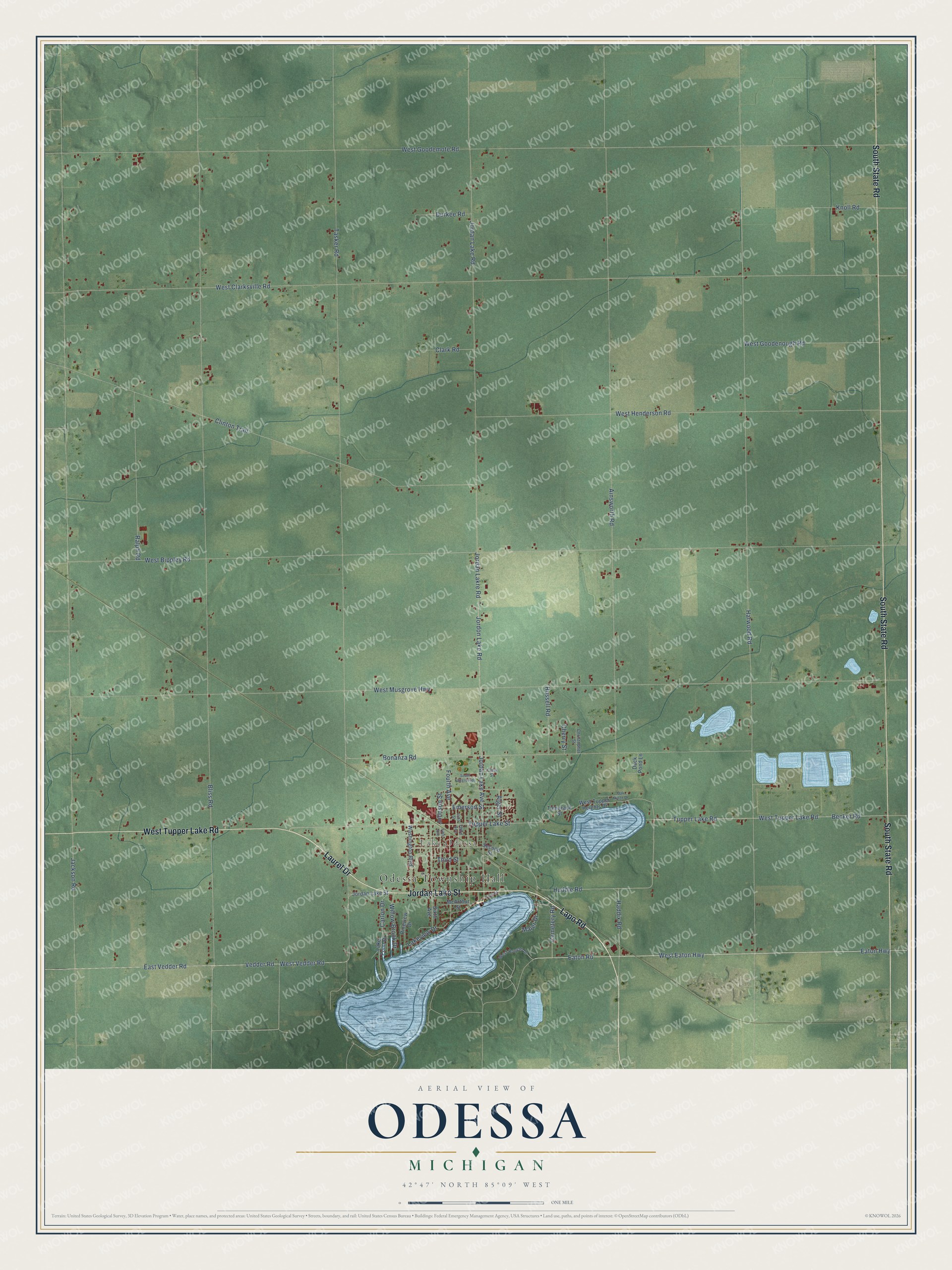 Full map of Odessa, Michigan, with red buildings, printed street names and the land around them