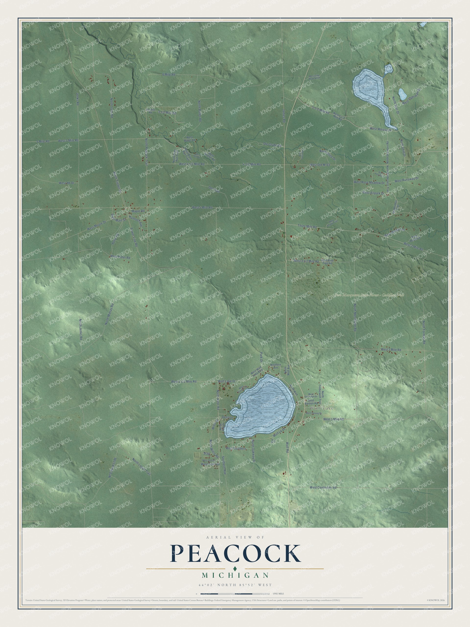 Full map of Peacock, Michigan, with red buildings, printed street names and the land around them