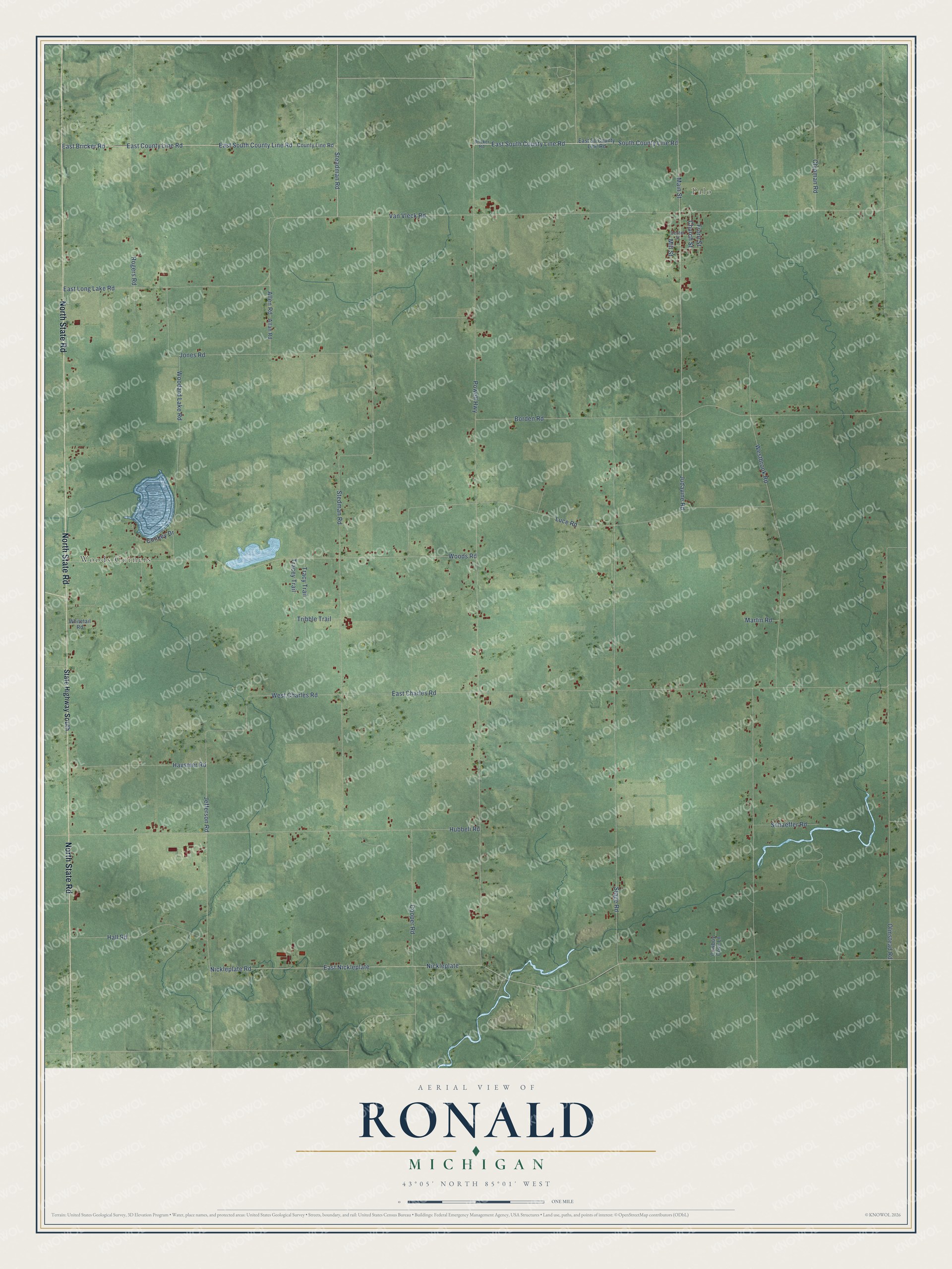 Full map of Ronald, Michigan, with red buildings, printed street names and the land around them