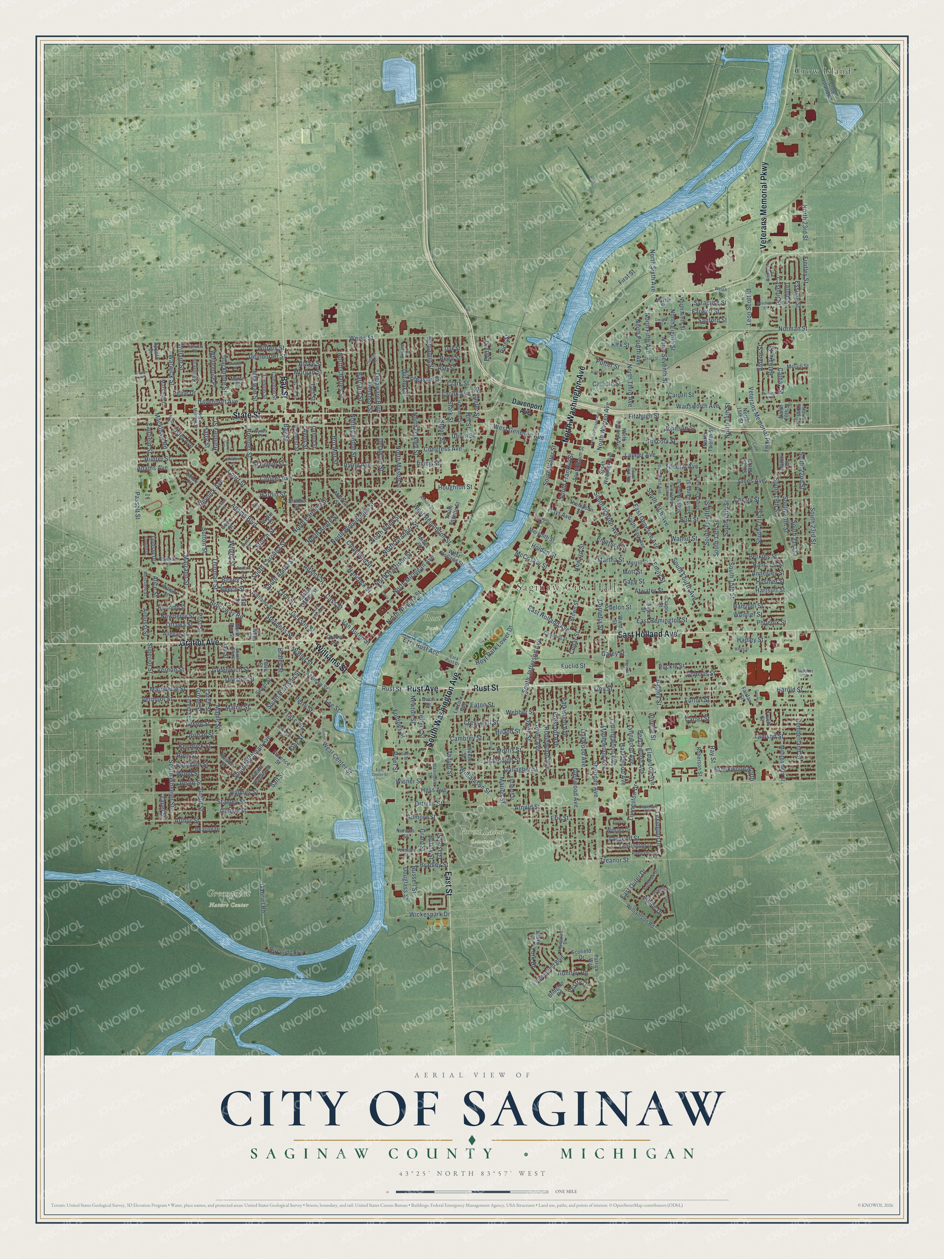 Full map of Saginaw, Michigan, with red buildings, printed street names and the land around them