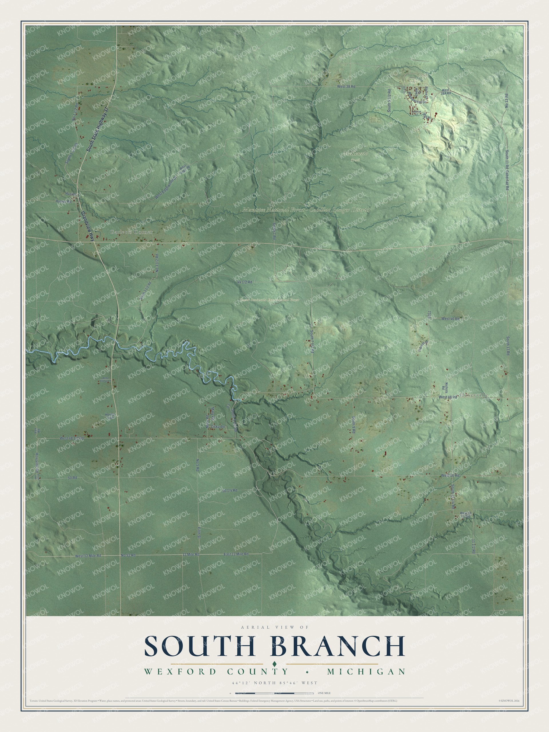 Full map of South Branch, Michigan, with red buildings, printed street names and the land around them