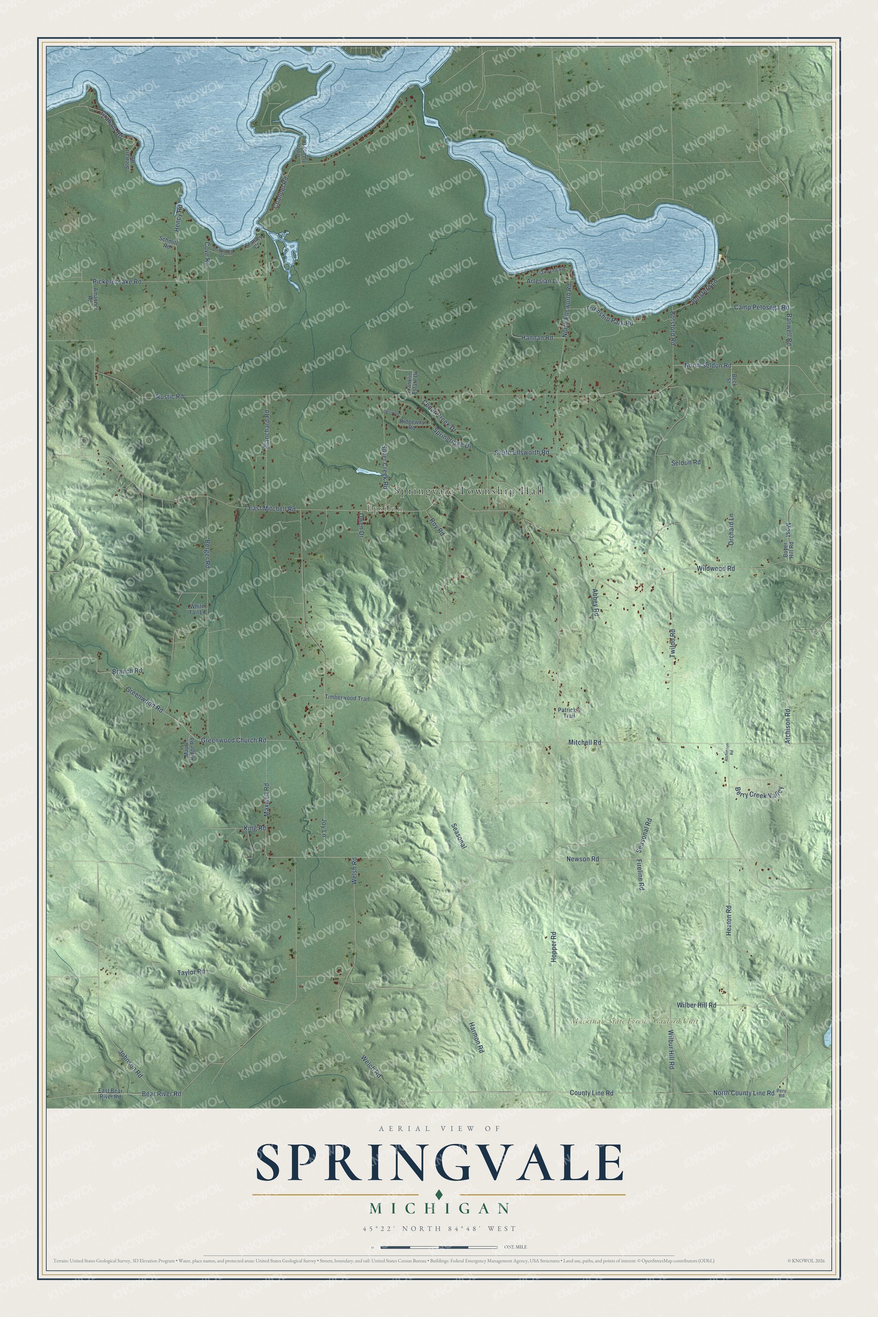 Full map of Springvale, Michigan, with red buildings, printed street names and the land around them
