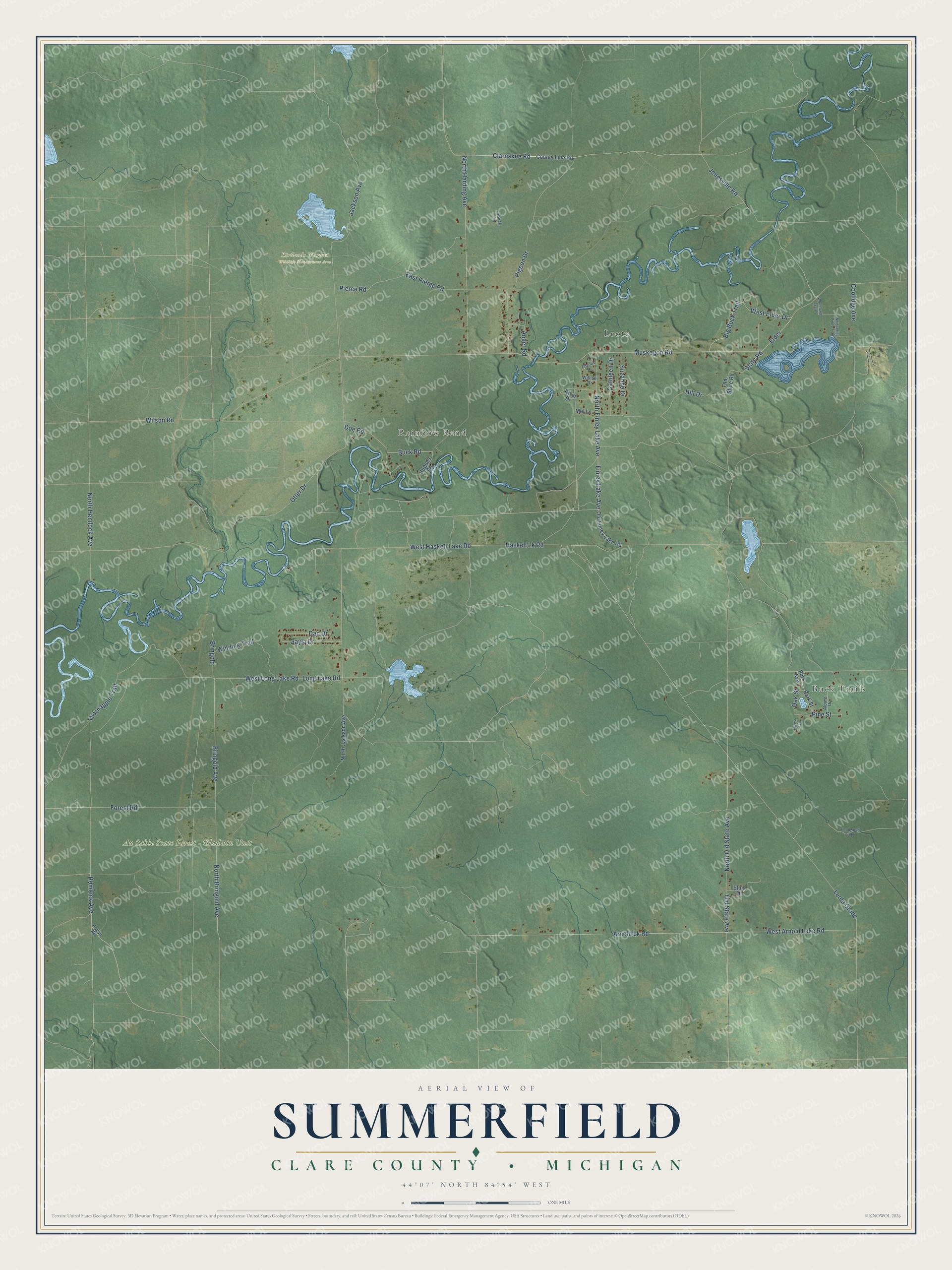 Full map of Summerfield, Michigan, with red buildings, printed street names and the land around them