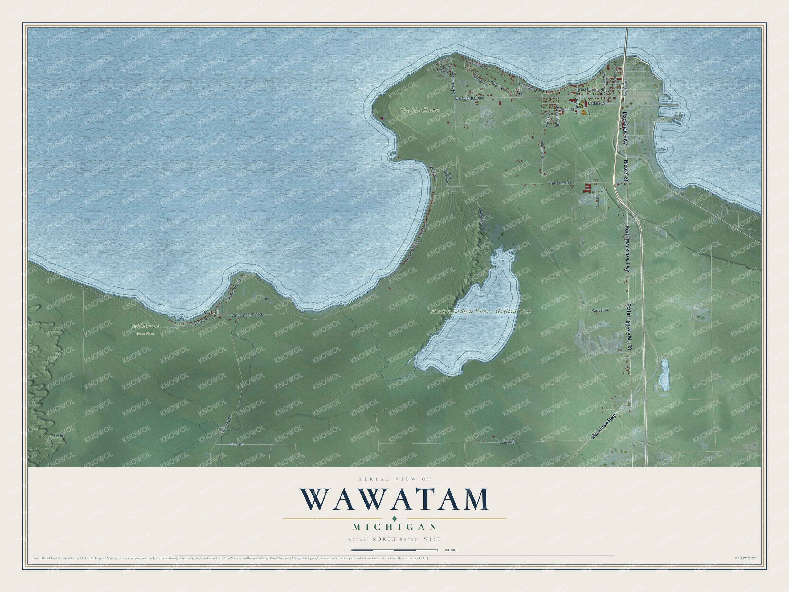 Full map of Wawatam, Michigan, with red buildings, printed street names and the land around them