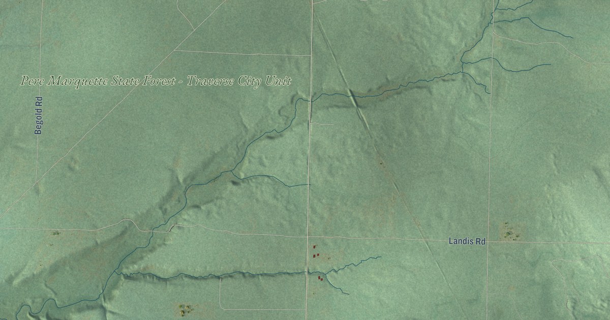 Map of Weldon, Michigan in 2026