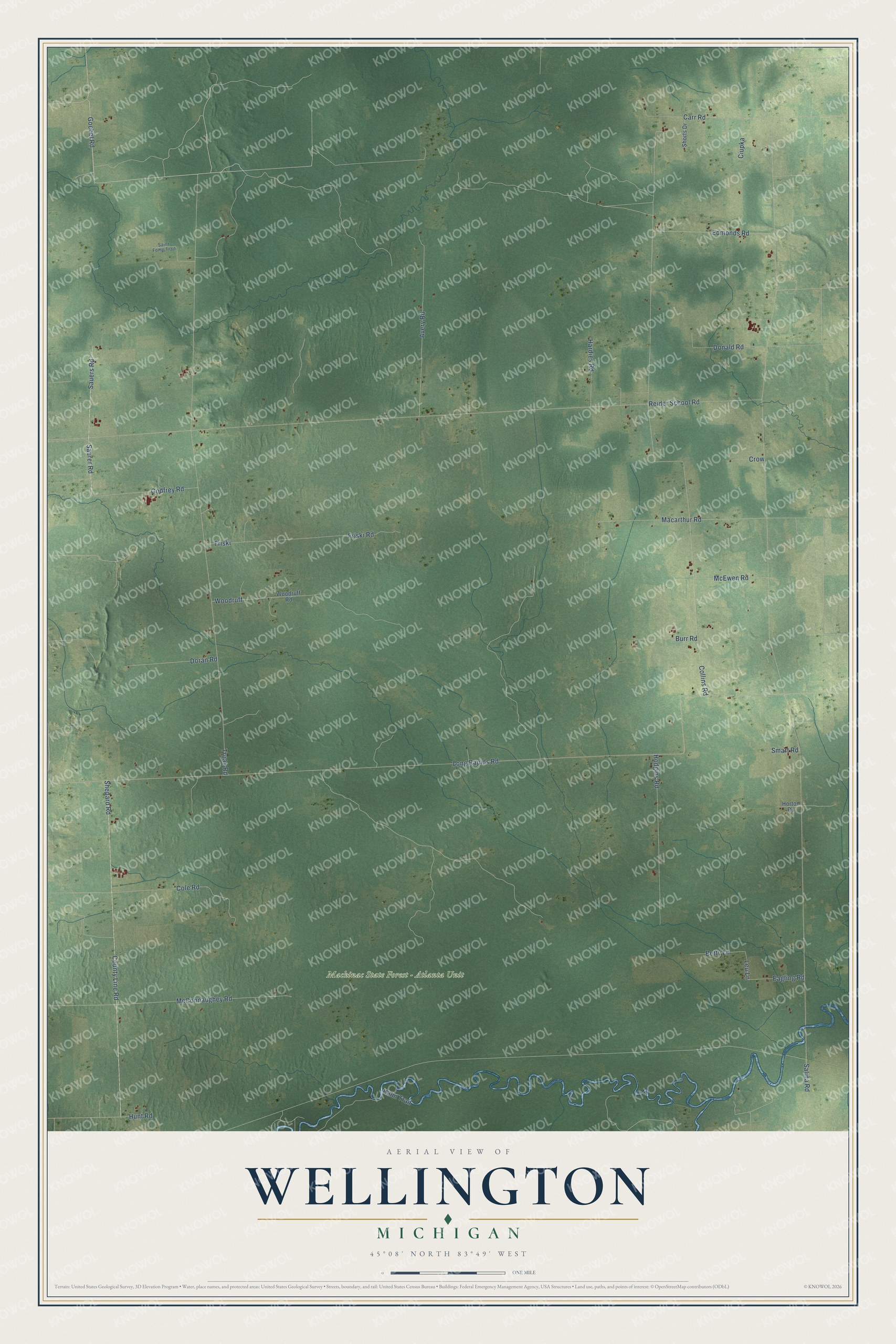 Full map of Wellington, Michigan, with red buildings, printed street names and the land around them