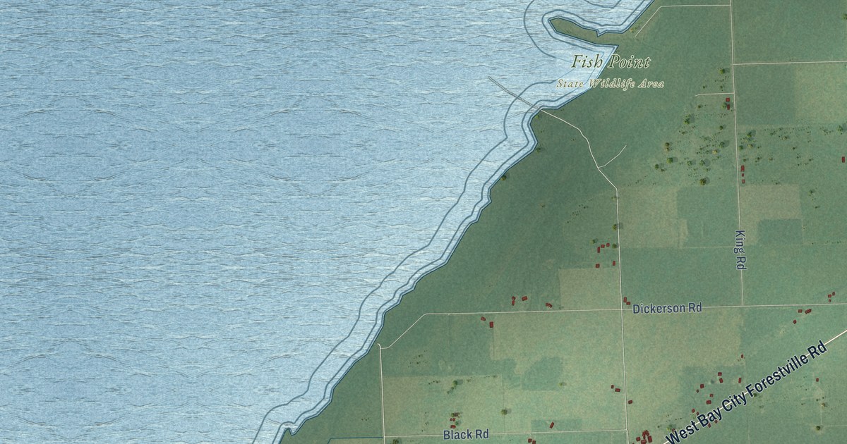 Map of Wisner, Michigan in 2026