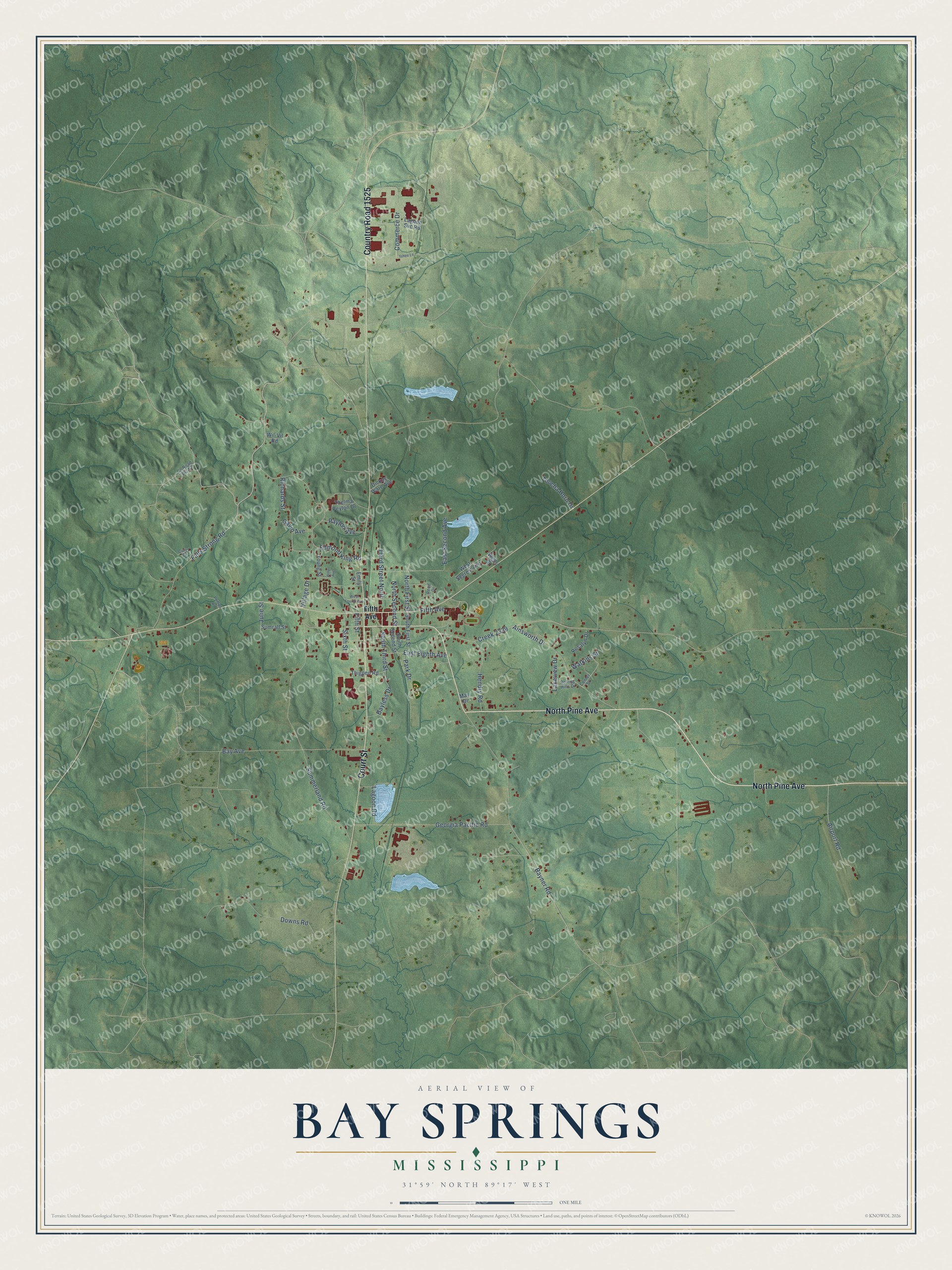 Watermarked full-map preview of Bay Springs, Mississippi