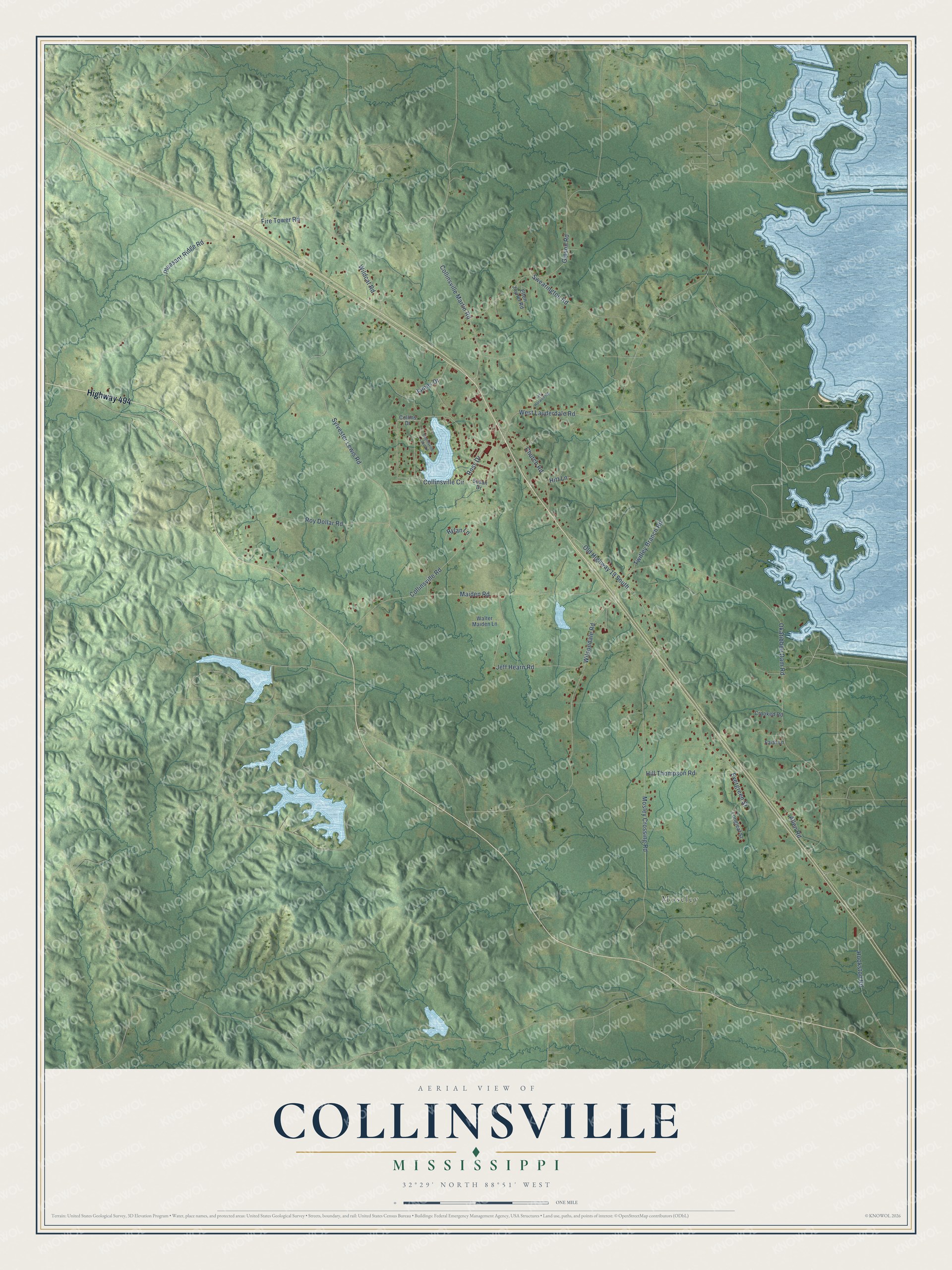 Full map of Collinsville, Mississippi, with red buildings, printed street names and the land around them