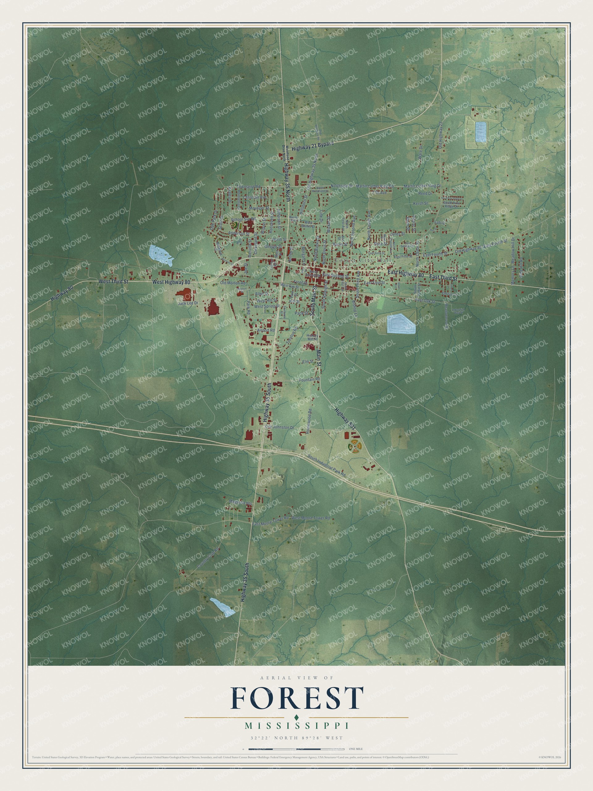 Watermarked full-map preview of Forest, Mississippi