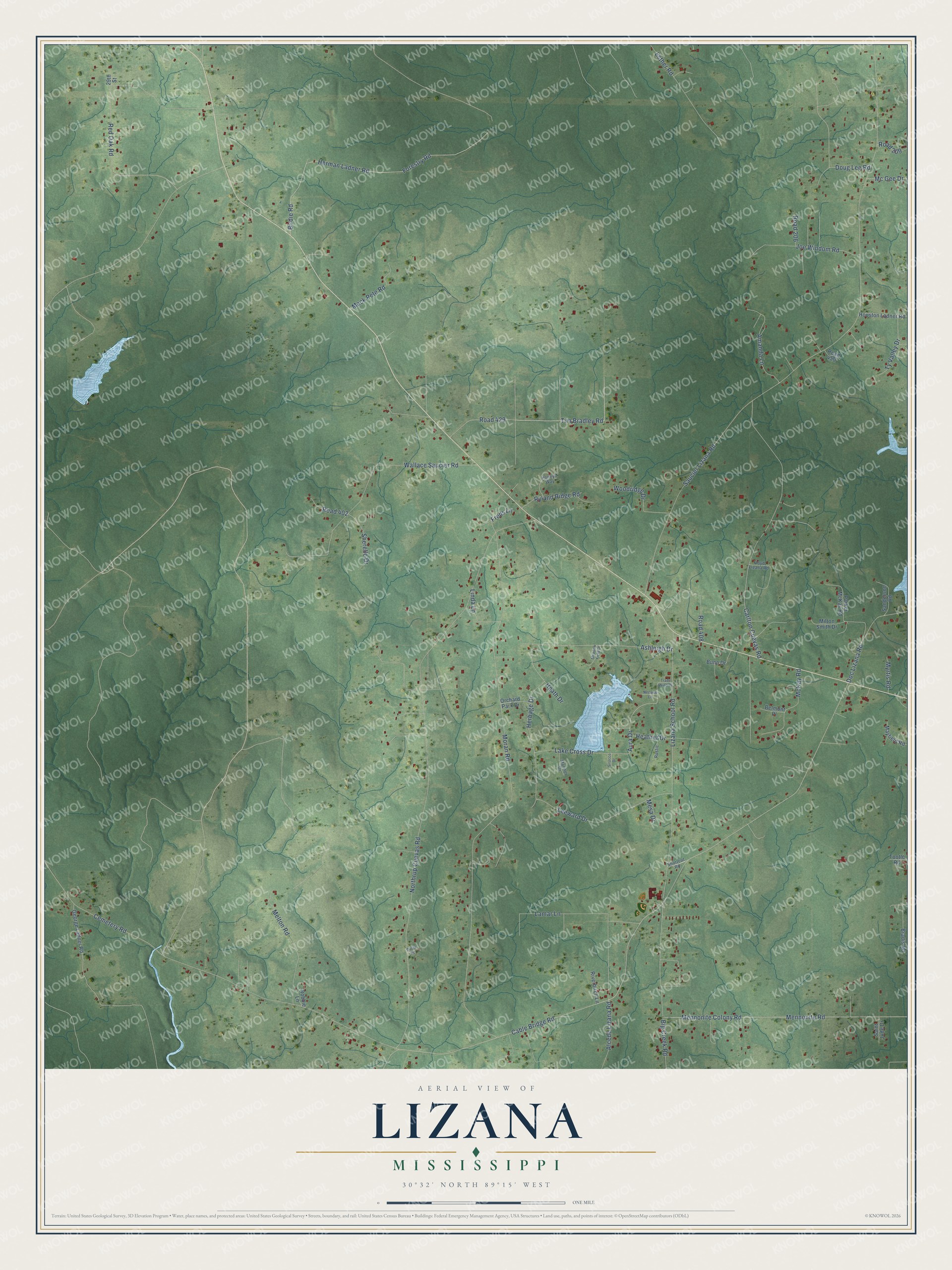 Watermarked full-map preview of Lizana, Mississippi