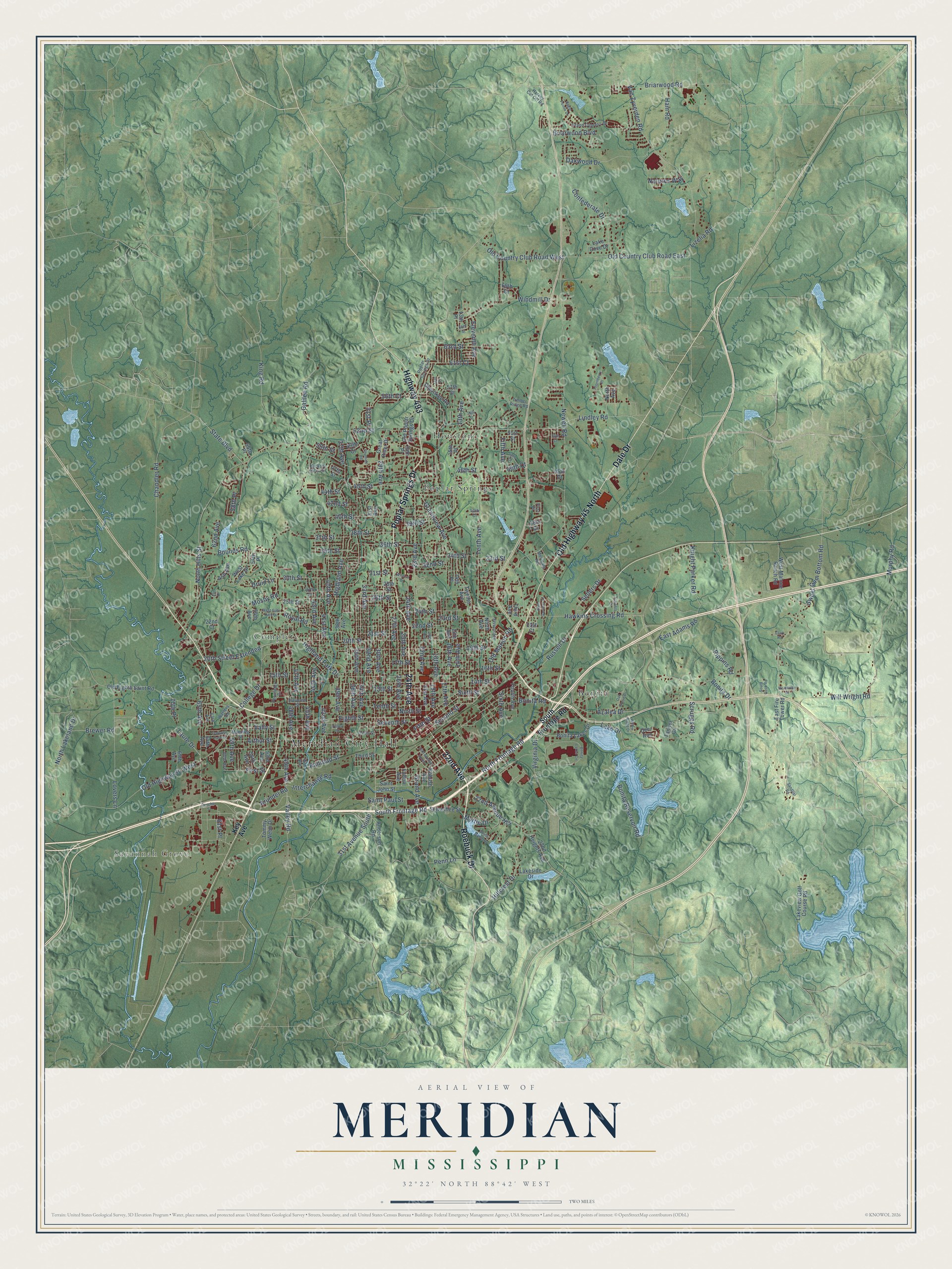Watermarked full-map preview of Meridian, Mississippi
