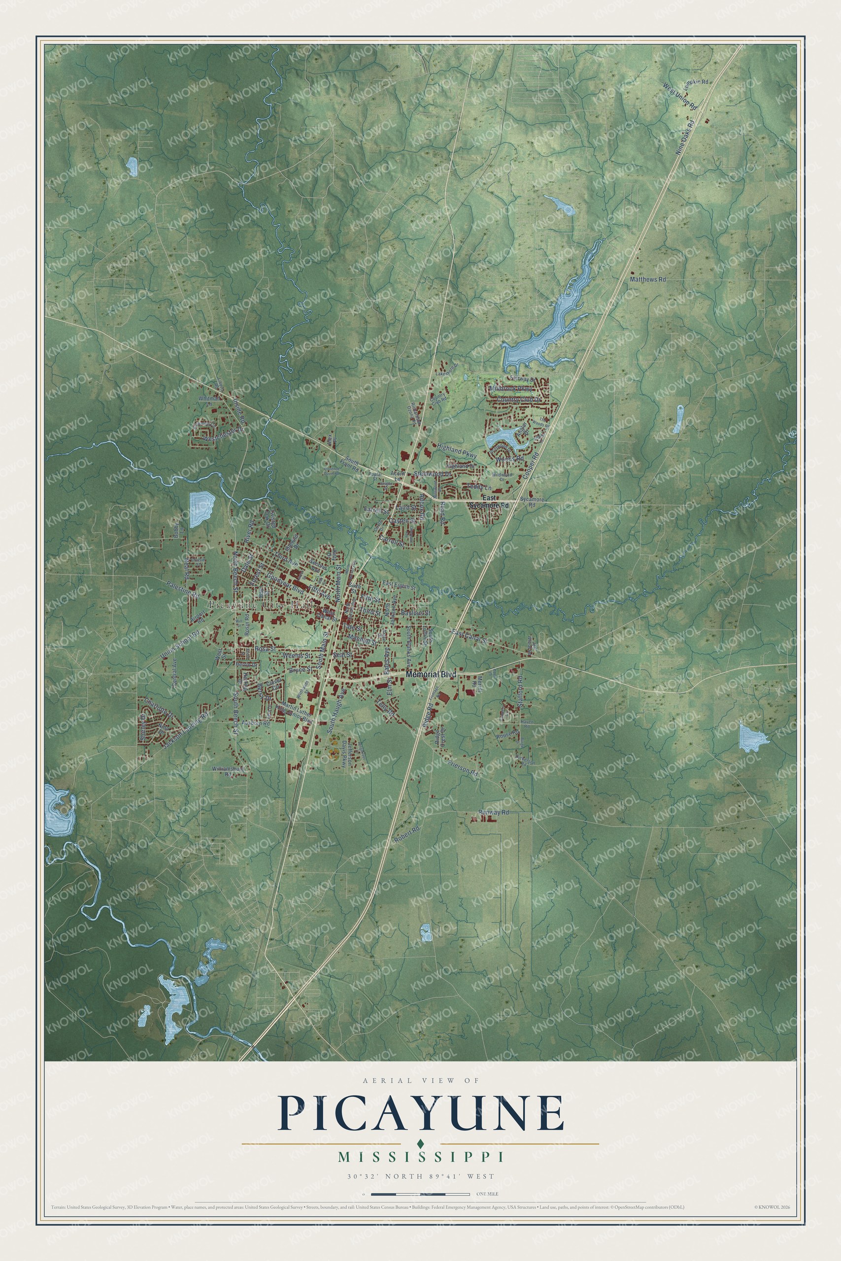 Watermarked full-map preview of Picayune, Mississippi