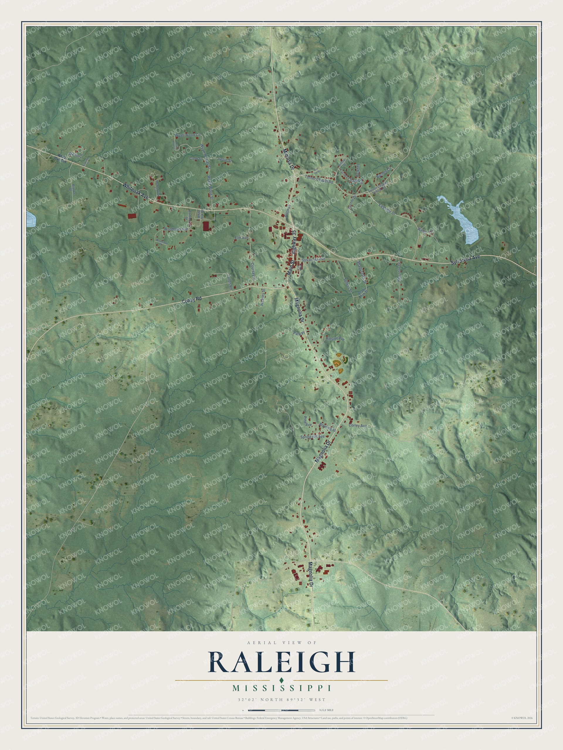 Full map of Raleigh, Mississippi, with red buildings, printed street names and the land around them
