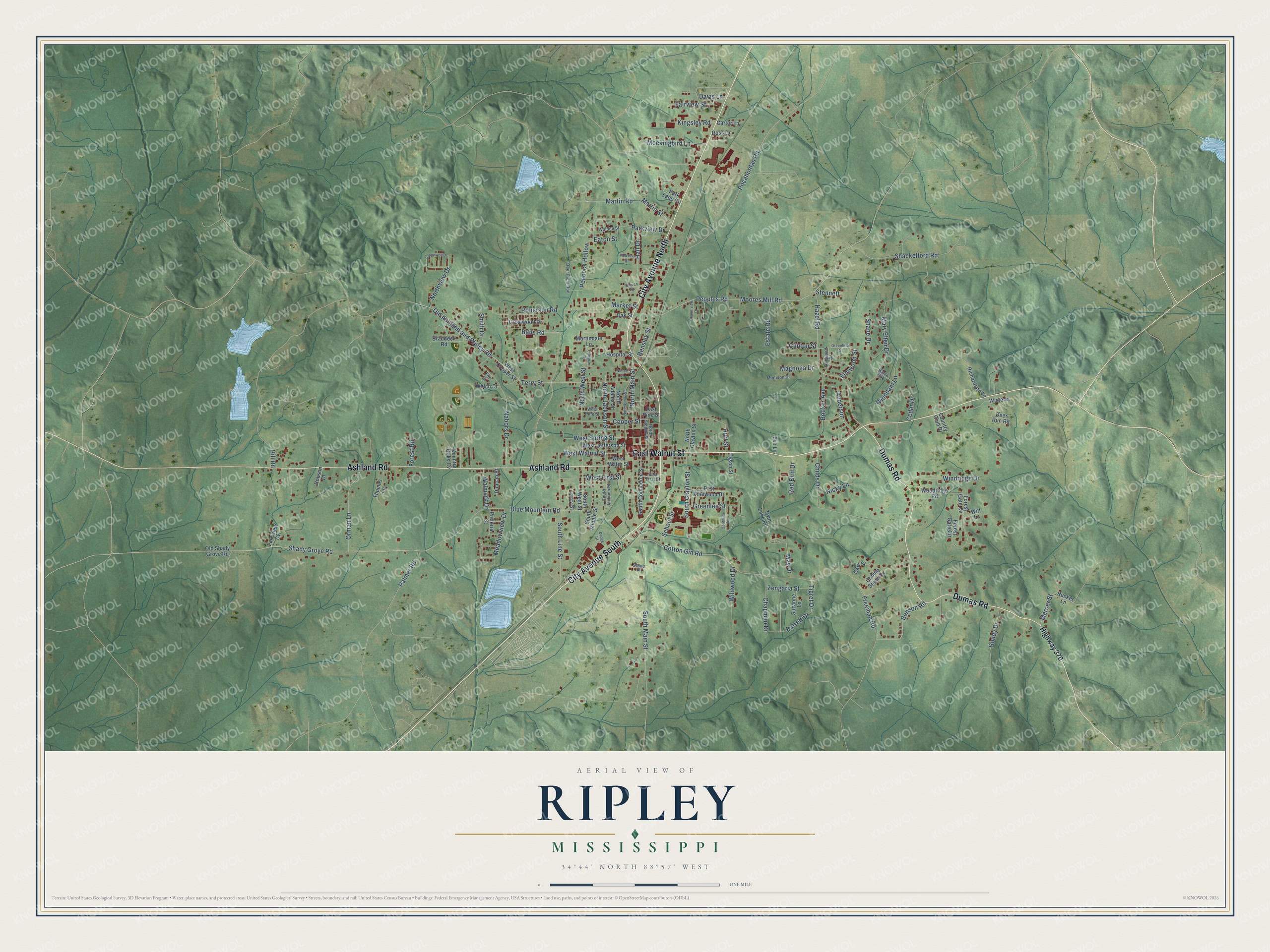 Watermarked full-map preview of Ripley, Mississippi