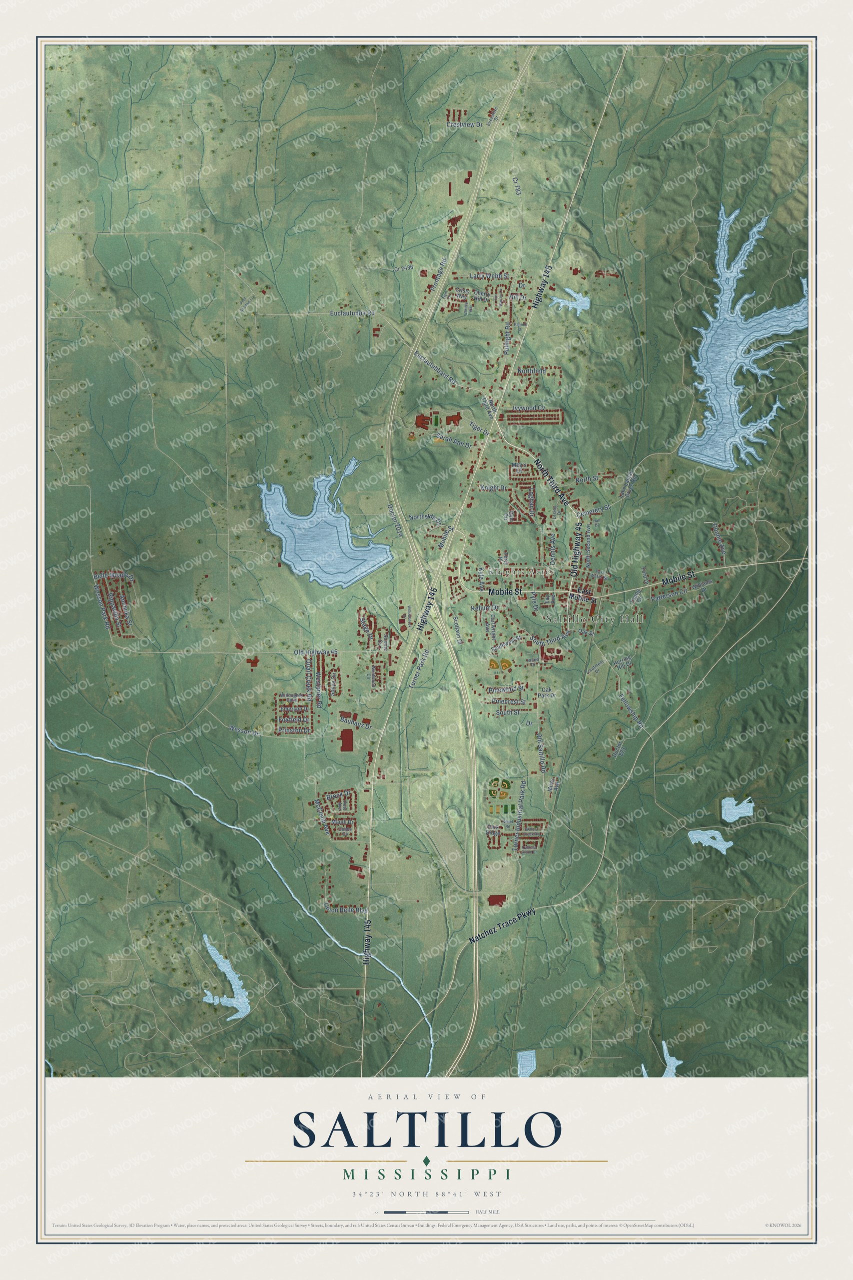 Watermarked full-map preview of Saltillo, Mississippi