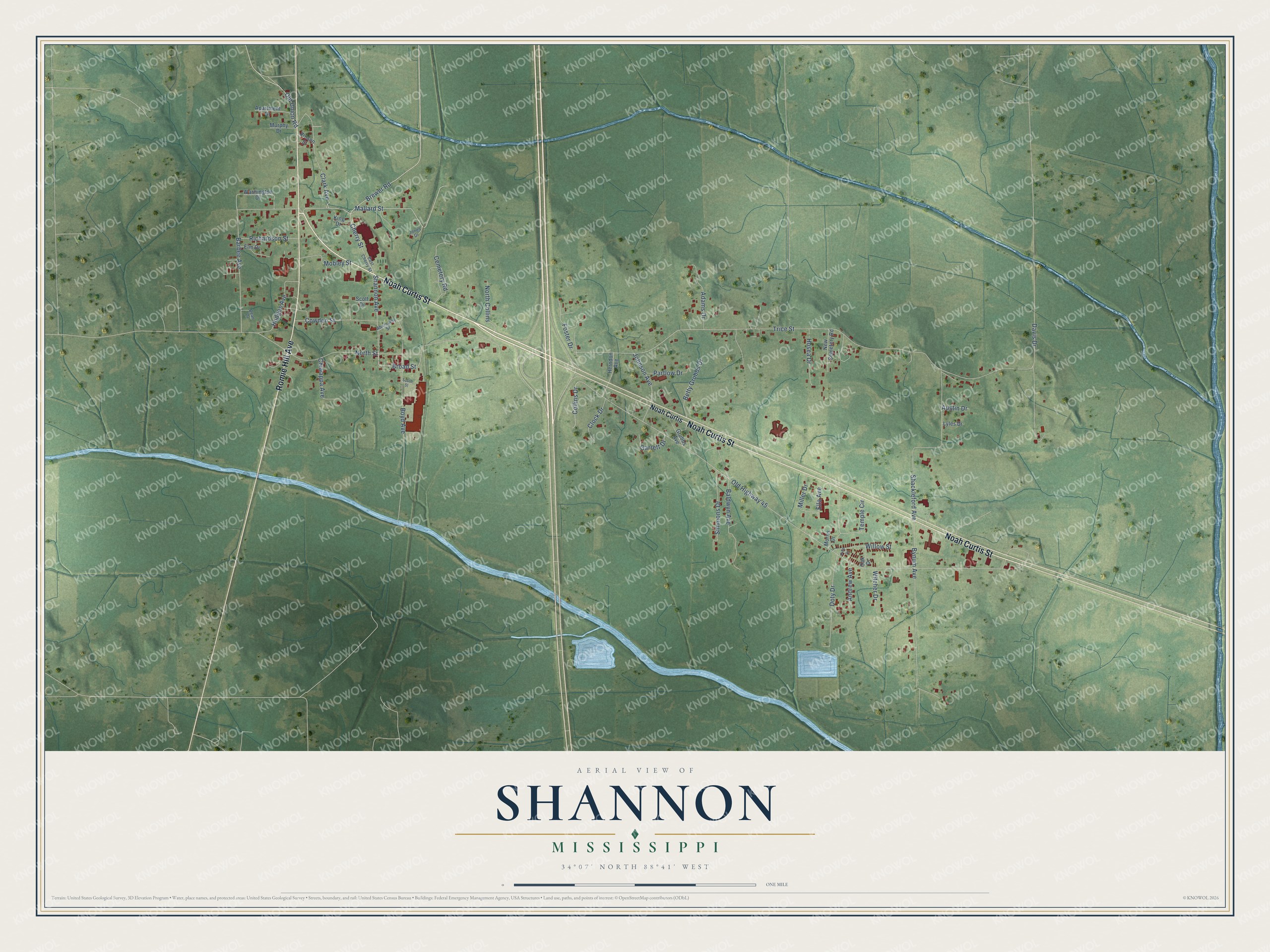 Full map of Shannon, Mississippi, with red buildings, printed street names and the land around them