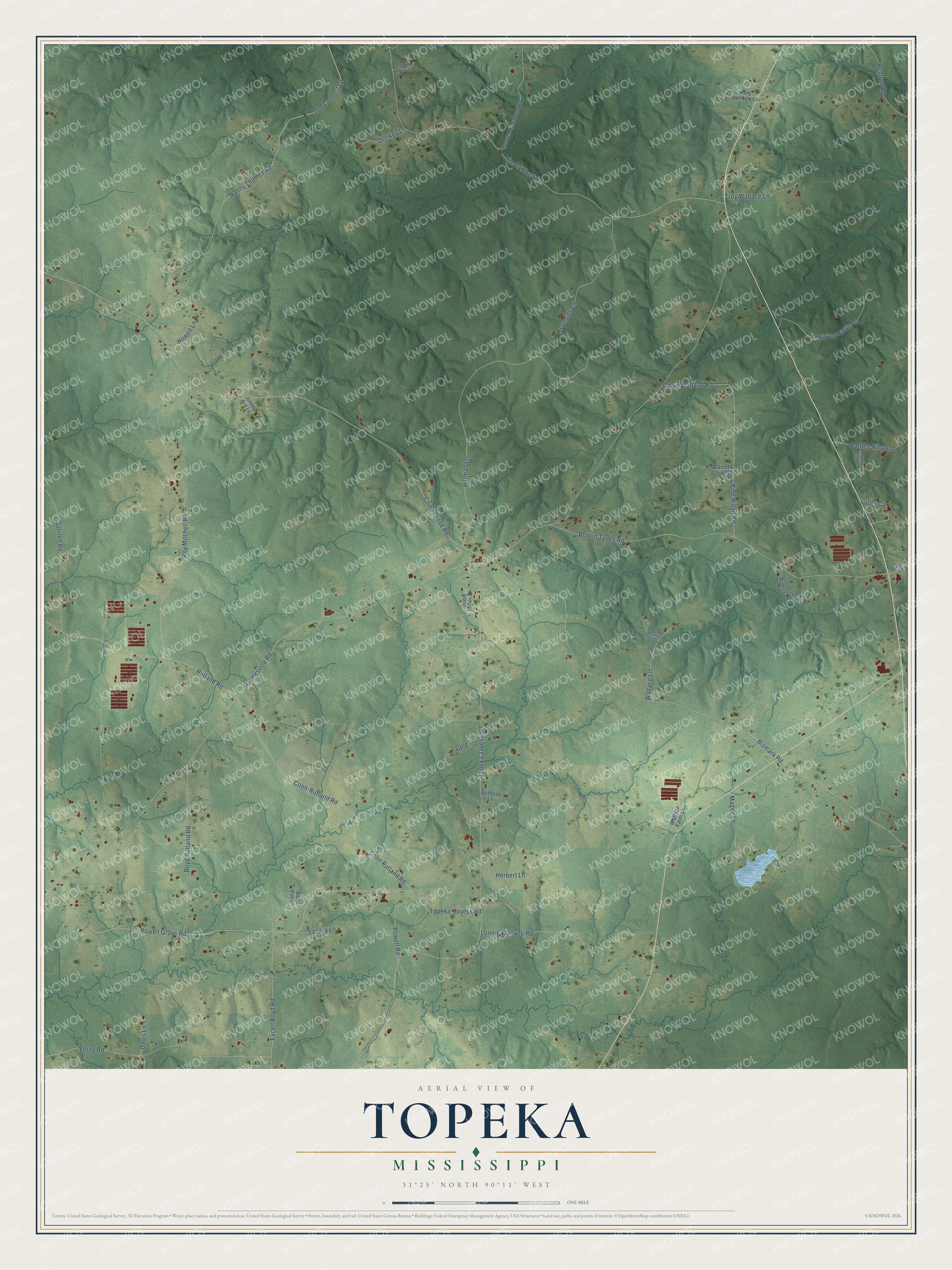 Full map of Topeka, Mississippi, with red buildings, printed street names and the land around them