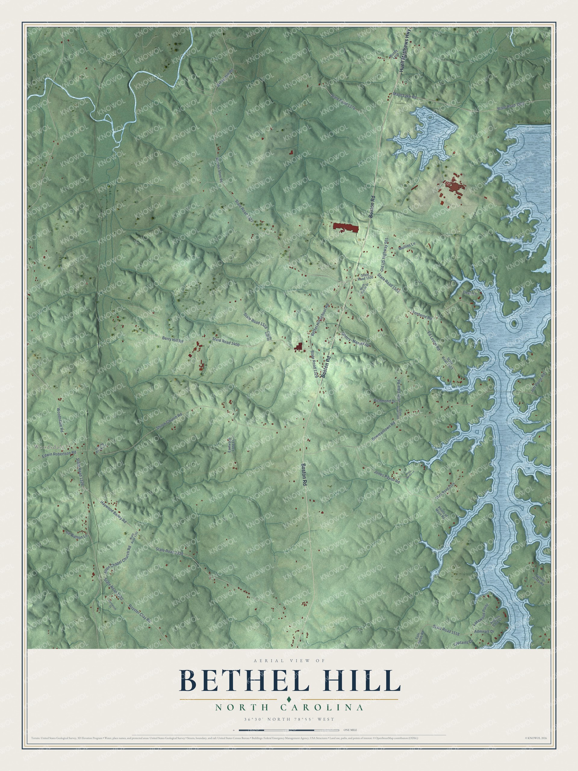 Full map of Bethel Hill, North Carolina, with red buildings, printed street names and the land around them