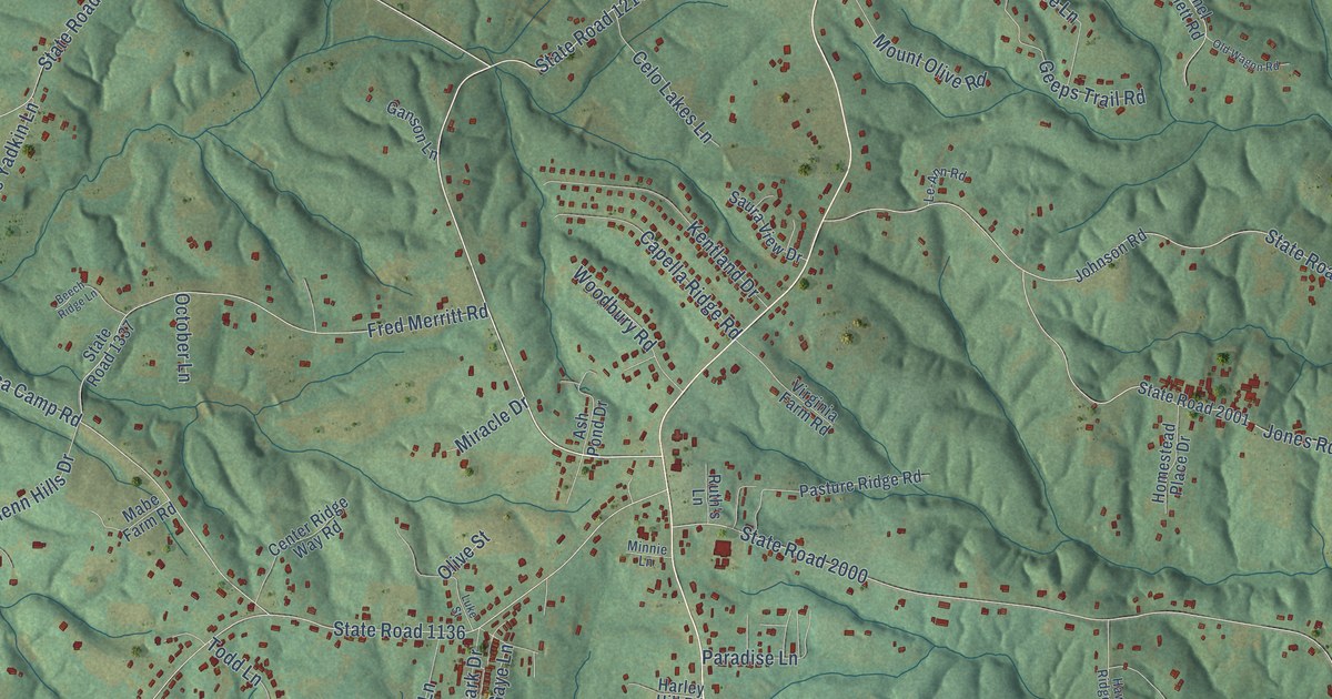 Close-up of streets and buildings in Mount Olive, Stokes County, North Carolina