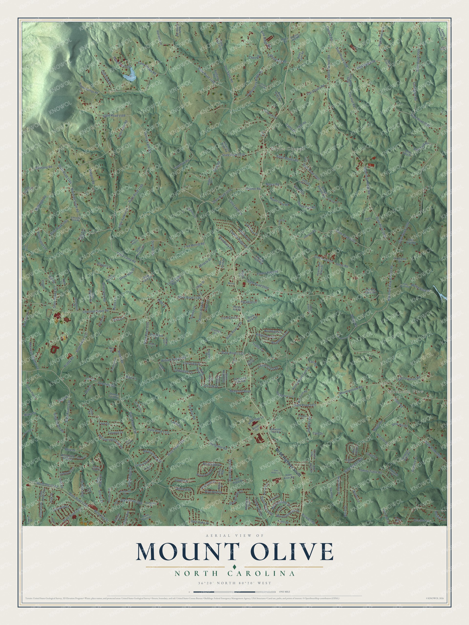 Full map of Mount Olive, North Carolina, with red buildings, printed street names and the land around them