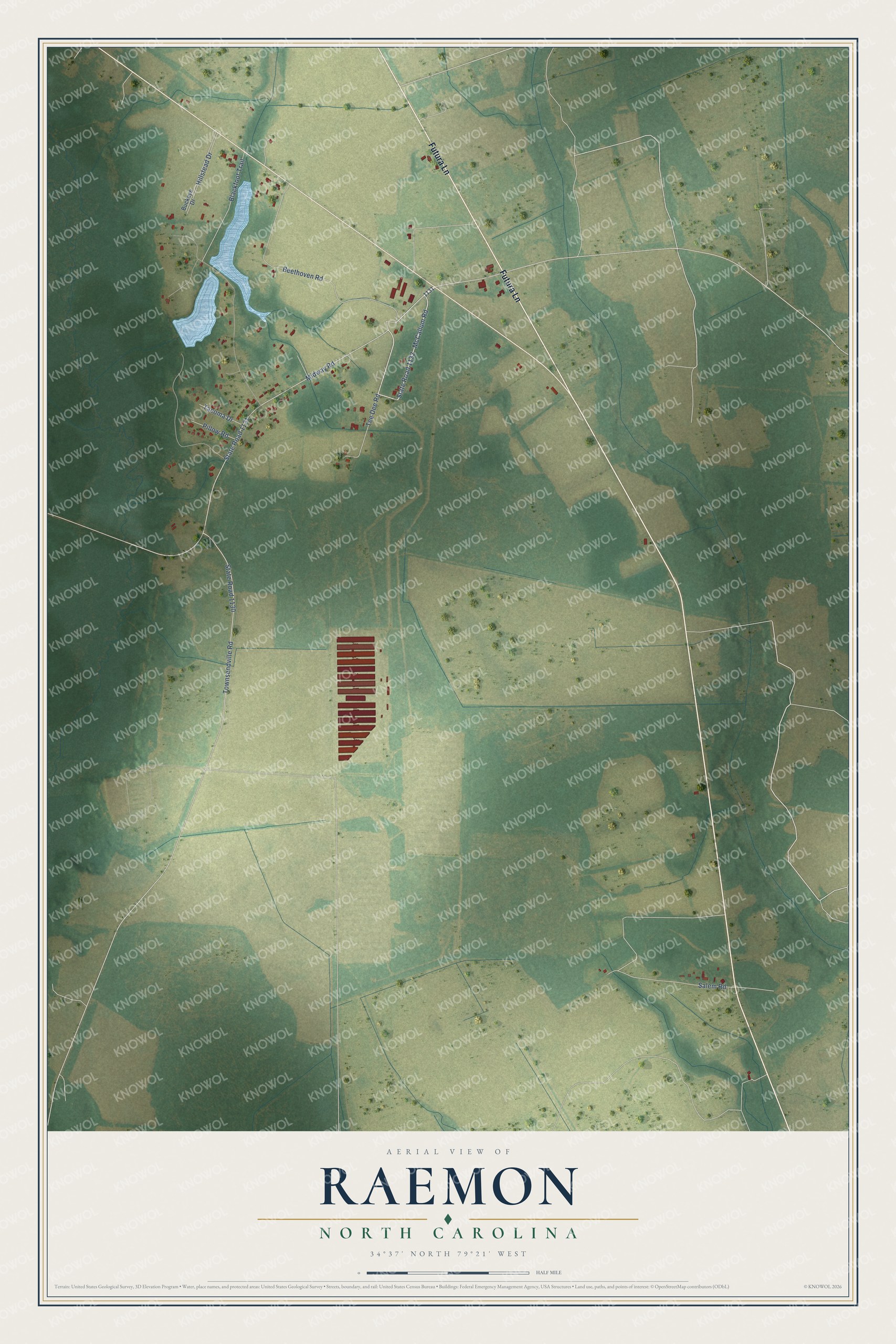 Full map of Raemon, North Carolina, with red buildings, printed street names and the land around them