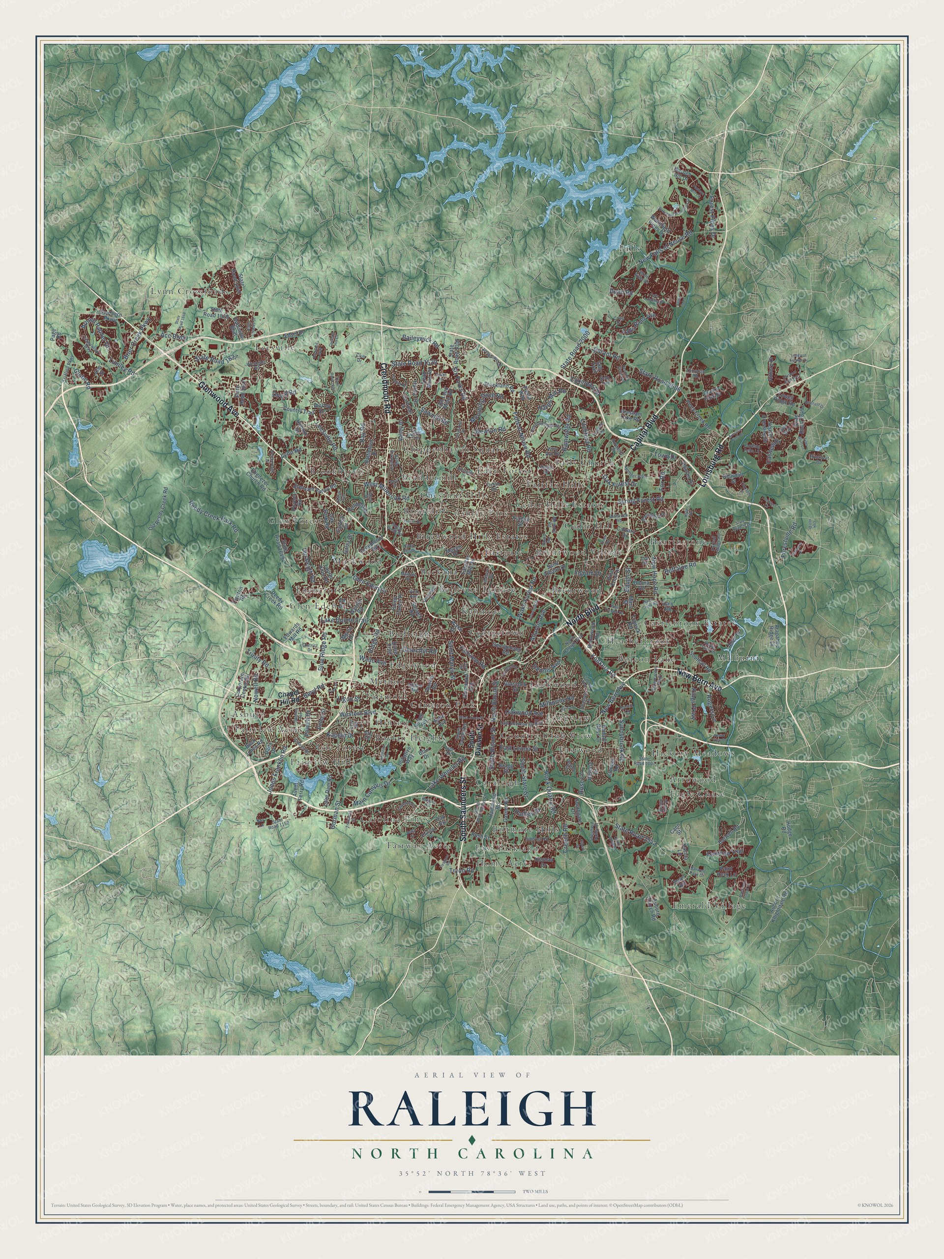 Watermarked full-map preview of Raleigh, North Carolina
