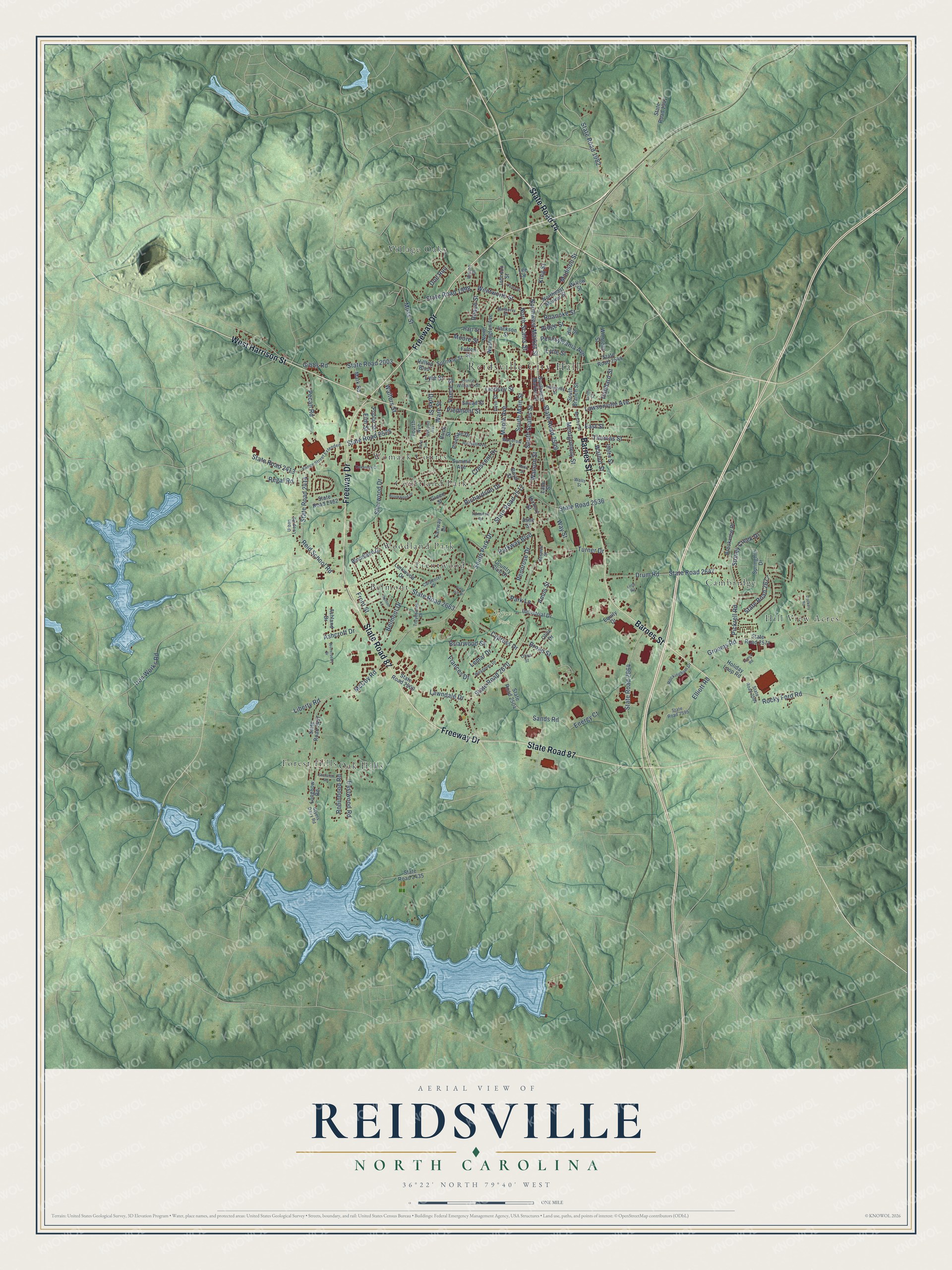 Watermarked full-map preview of Reidsville, North Carolina