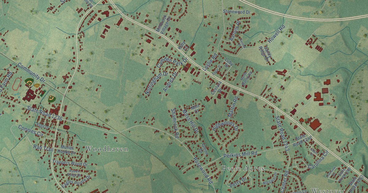 Close-up of streets and buildings in Rosewood, North Carolina