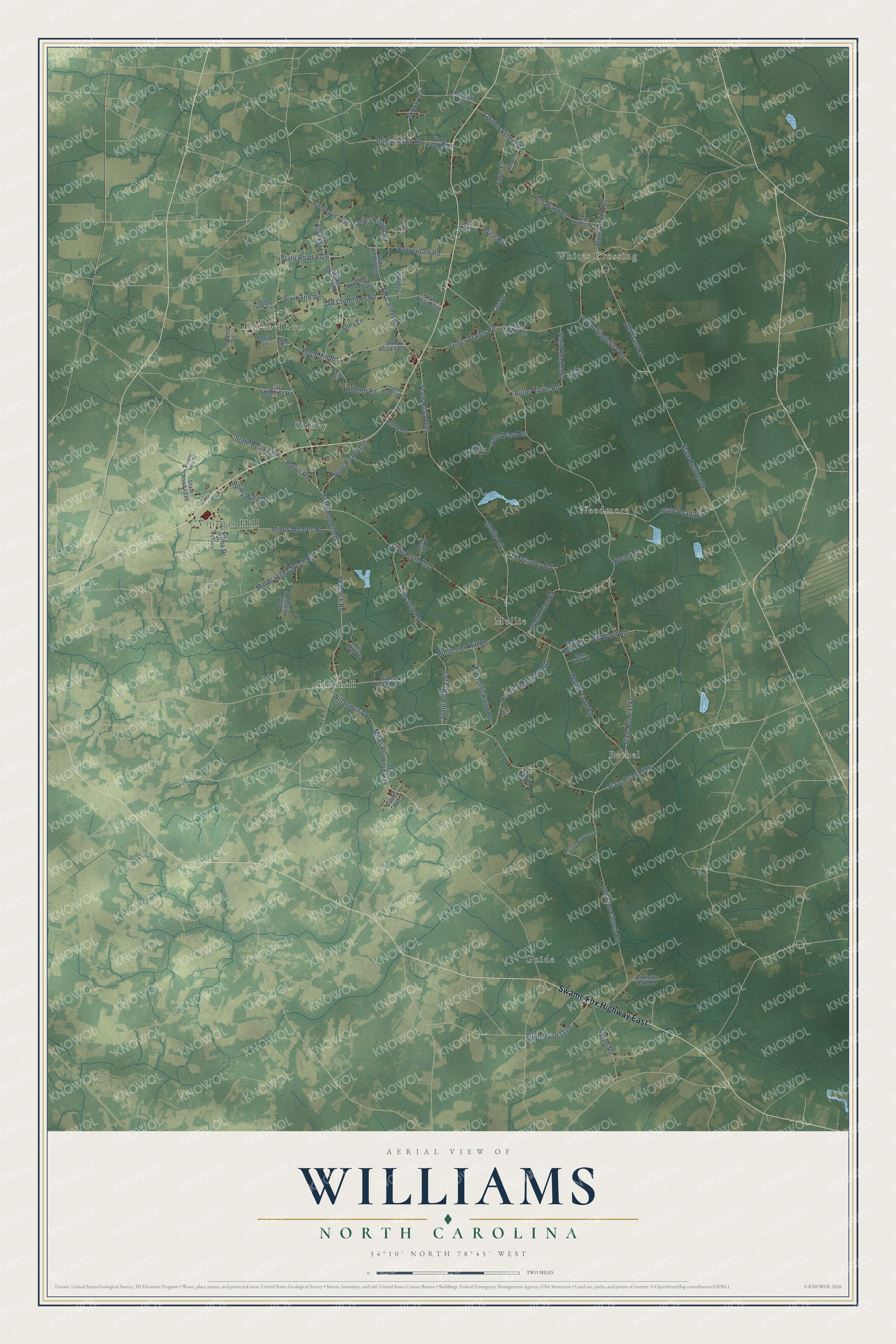 Full map of Williams, North Carolina, with red buildings, printed street names and the land around them