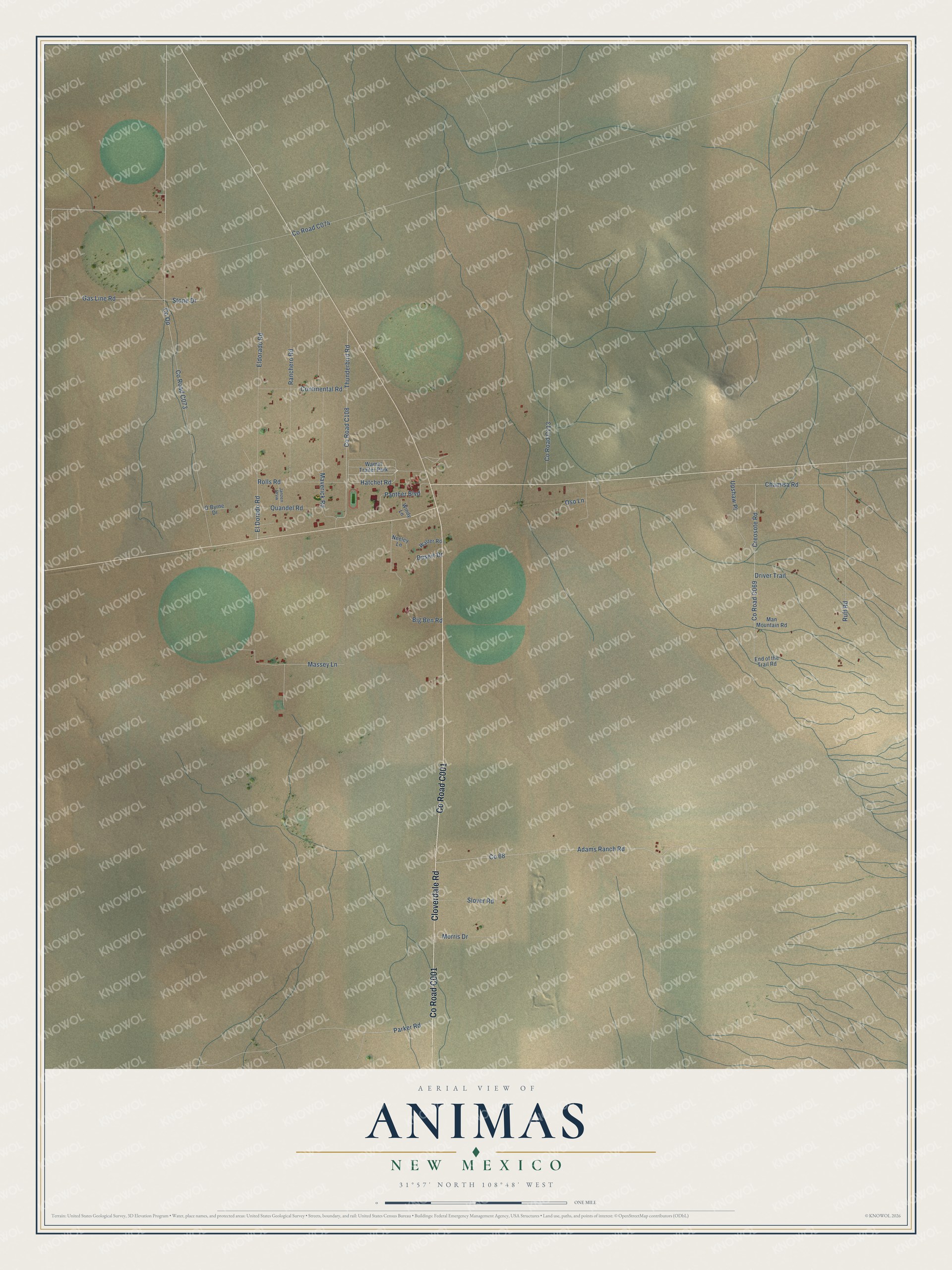 Full map of Animas, New Mexico, with red buildings, printed street names and the land around them