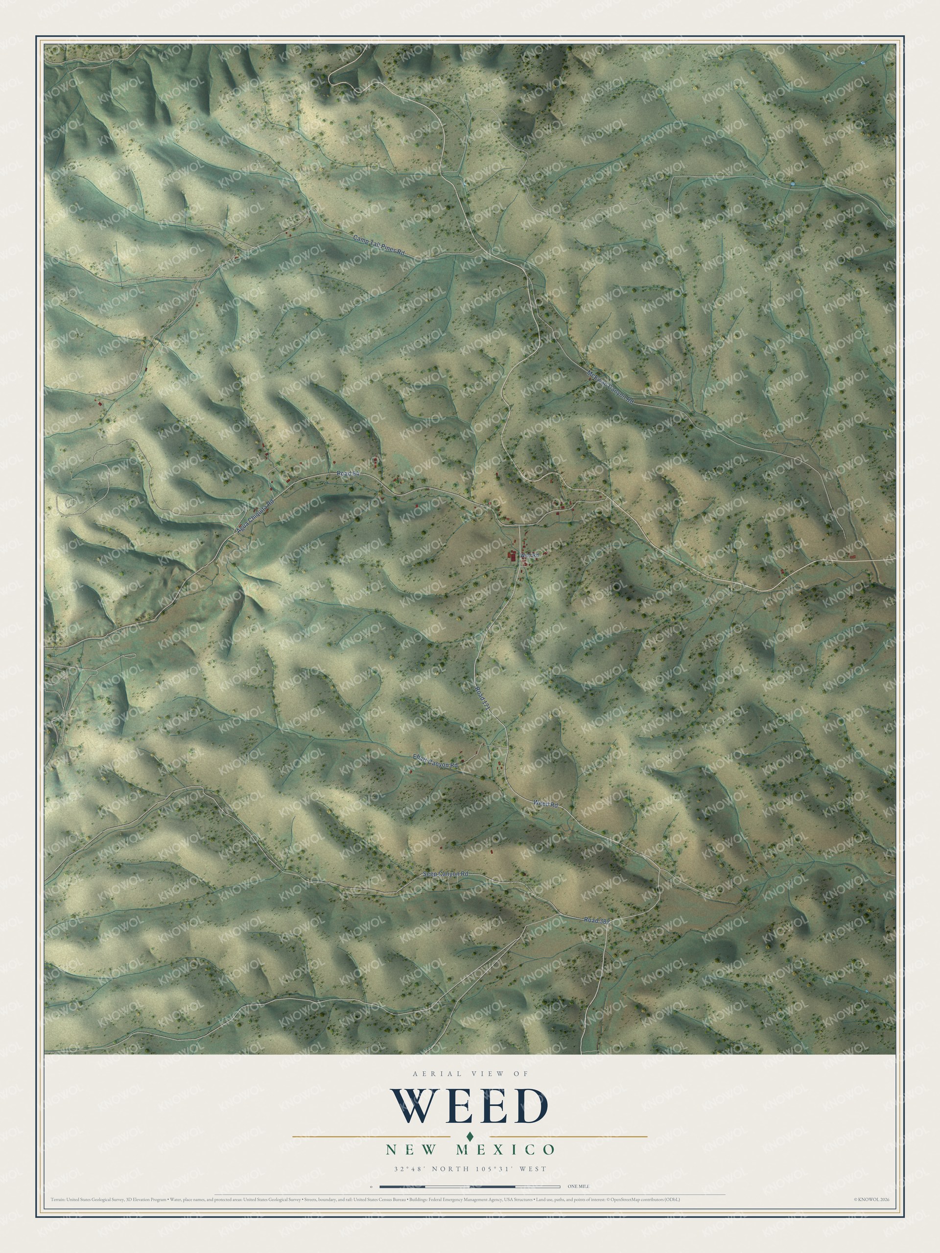 Full map of Weed, New Mexico, with red buildings, printed street names and the land around them