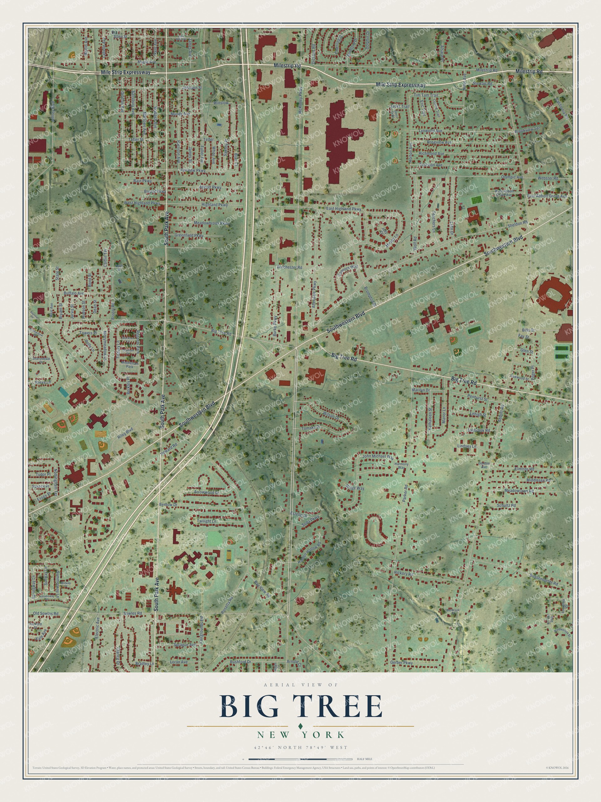 Full map of Big Tree, New York, with red buildings, printed street names and the land around them