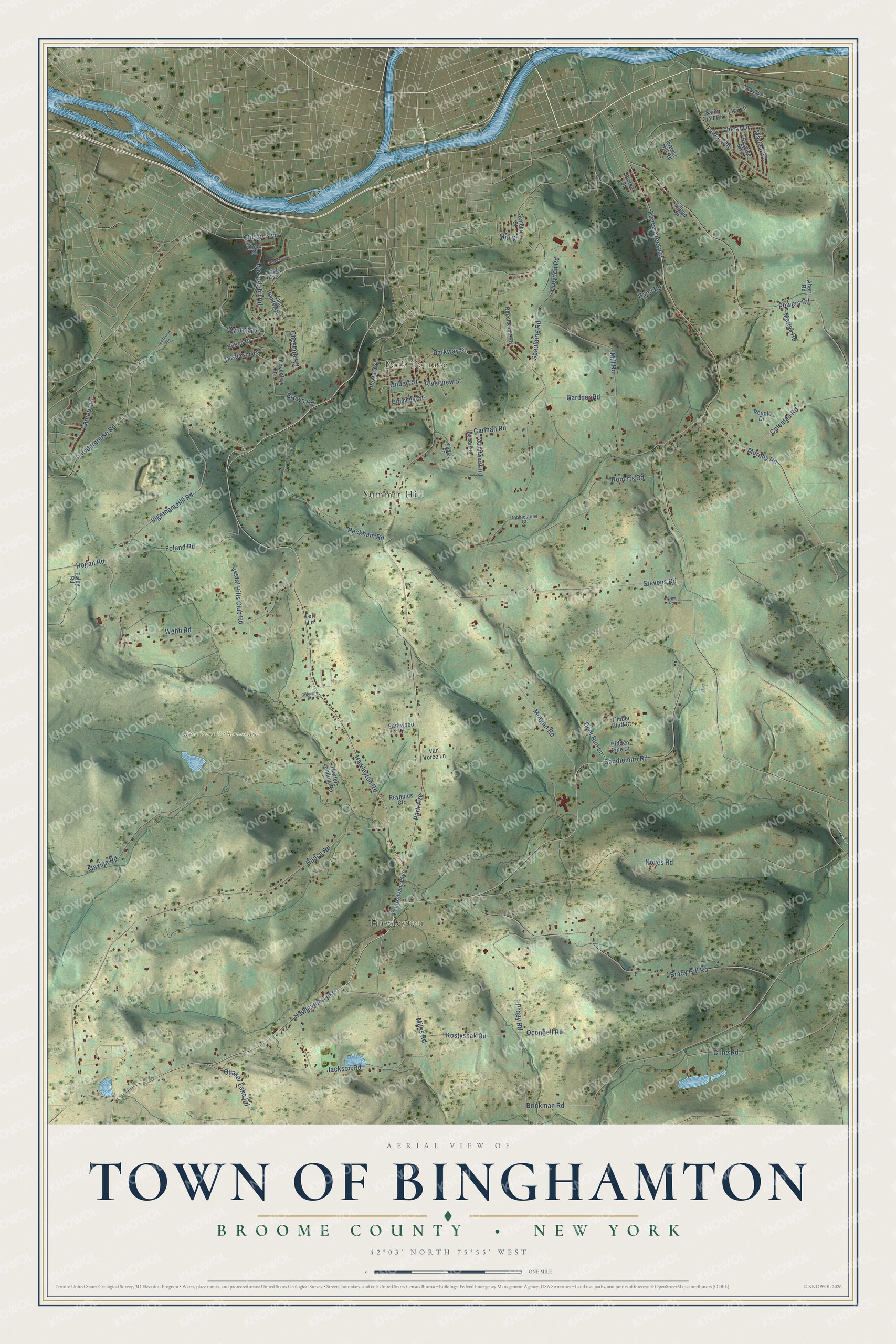 Detailed map of the Town of Binghamton, Broome County, New York, showing streets, buildings, and neighborhoods