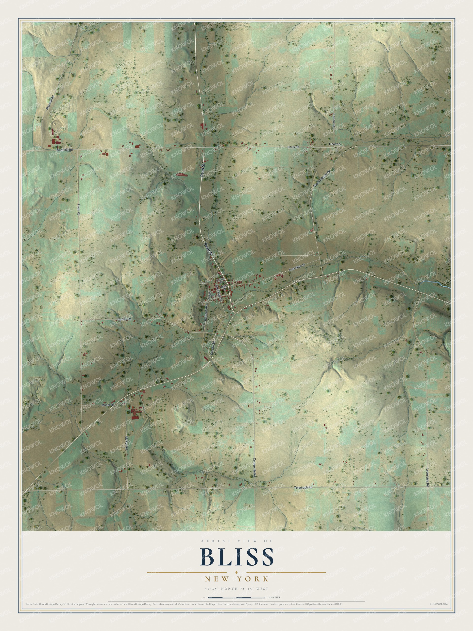Watermarked full-map preview of Bliss, New York
