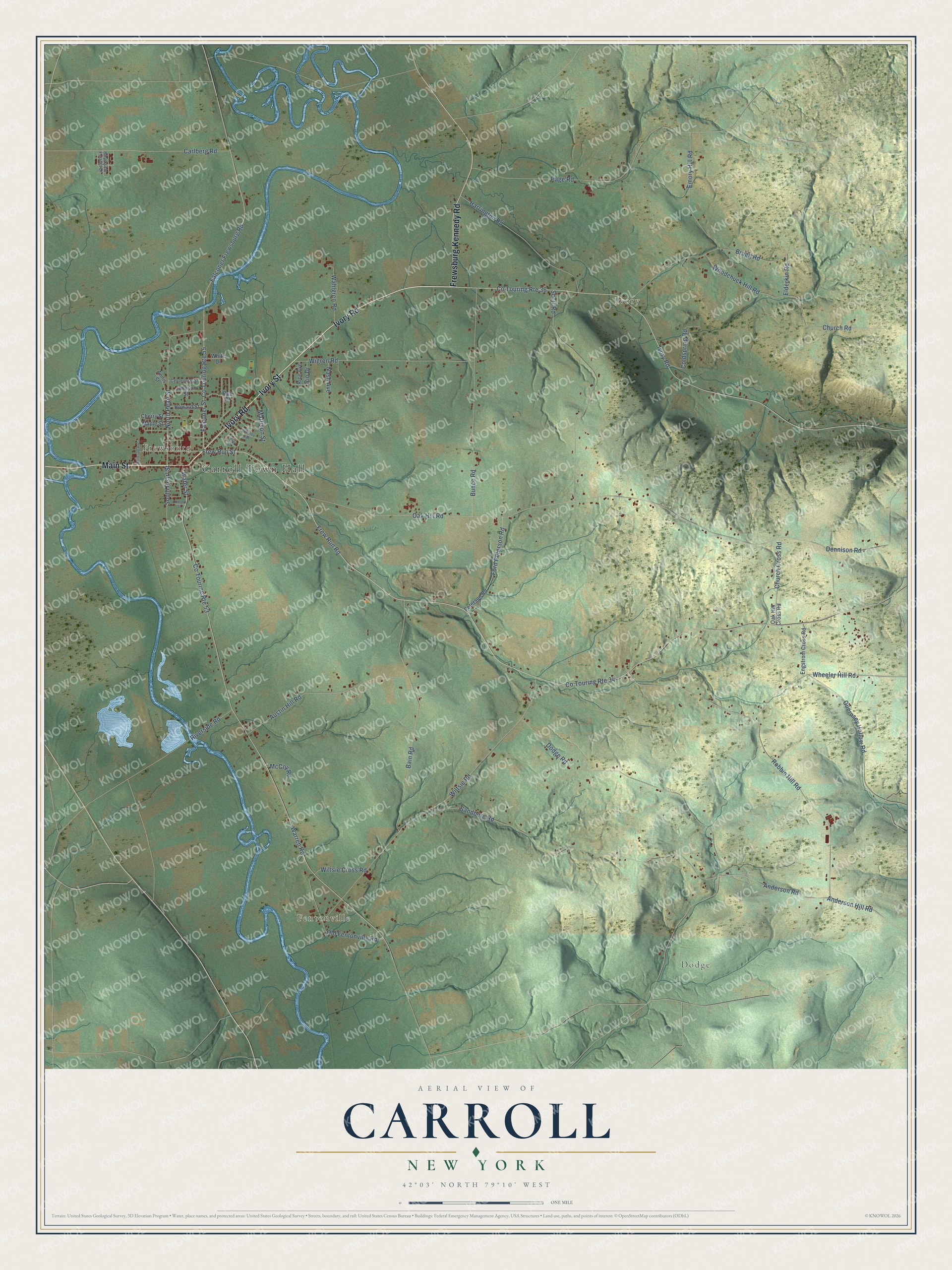 Detailed map of Carroll, New York, showing streets, buildings, and neighborhoods