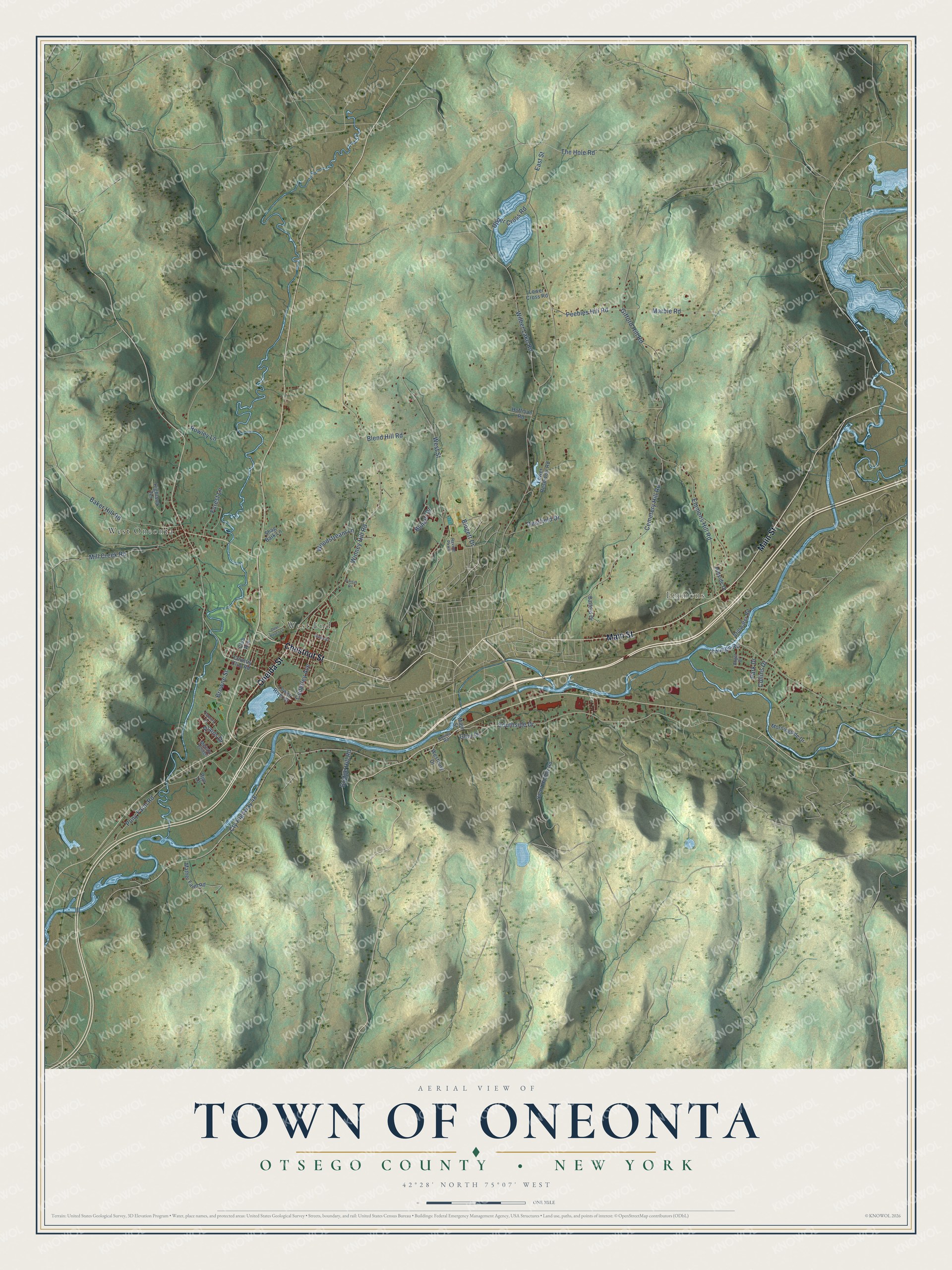 Detailed map of the Town of Oneonta, Otsego County, New York, showing streets, buildings, and neighborhoods